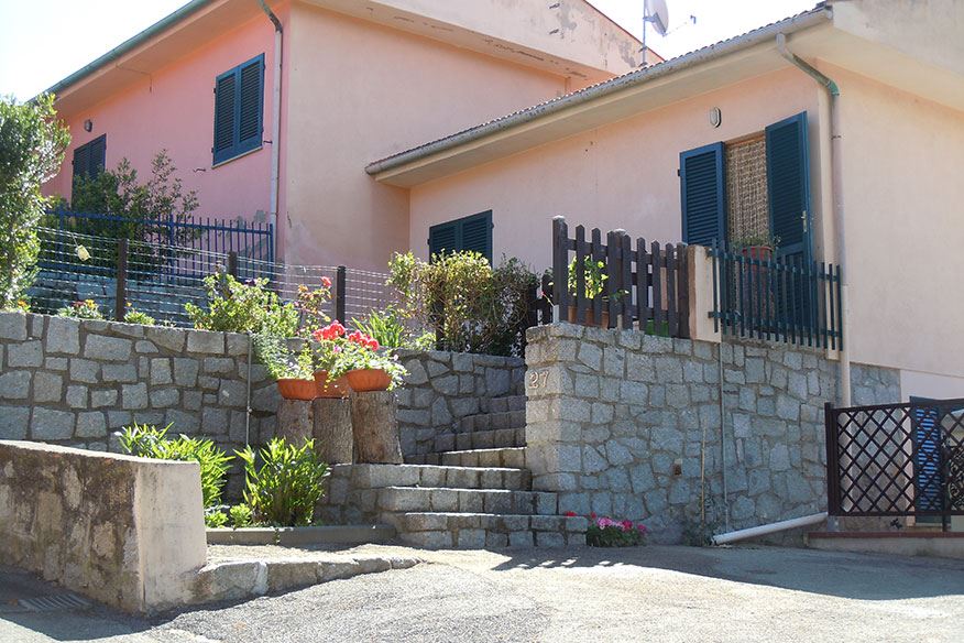 Il Pino 1