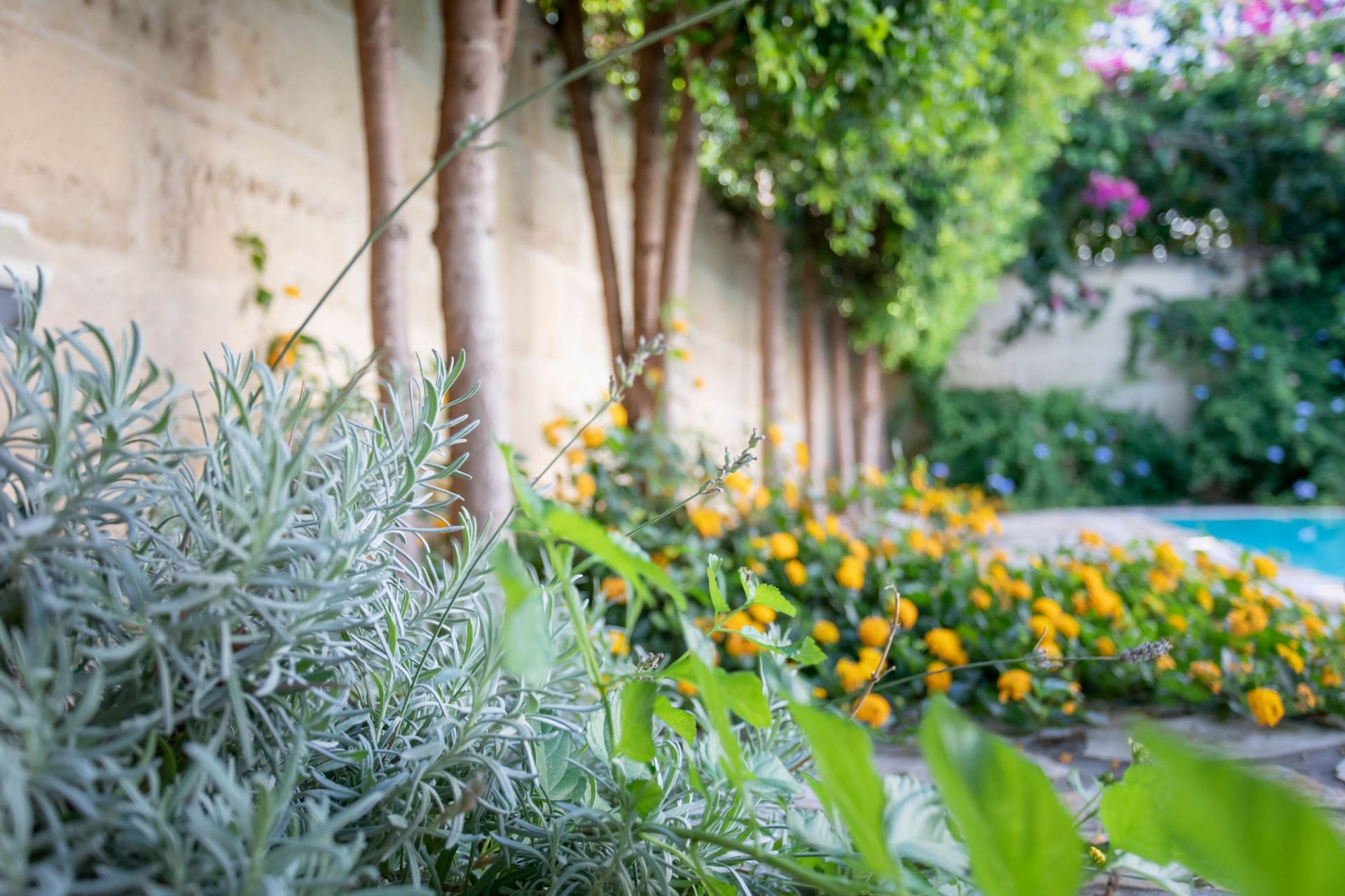 image Villino Smeraldo