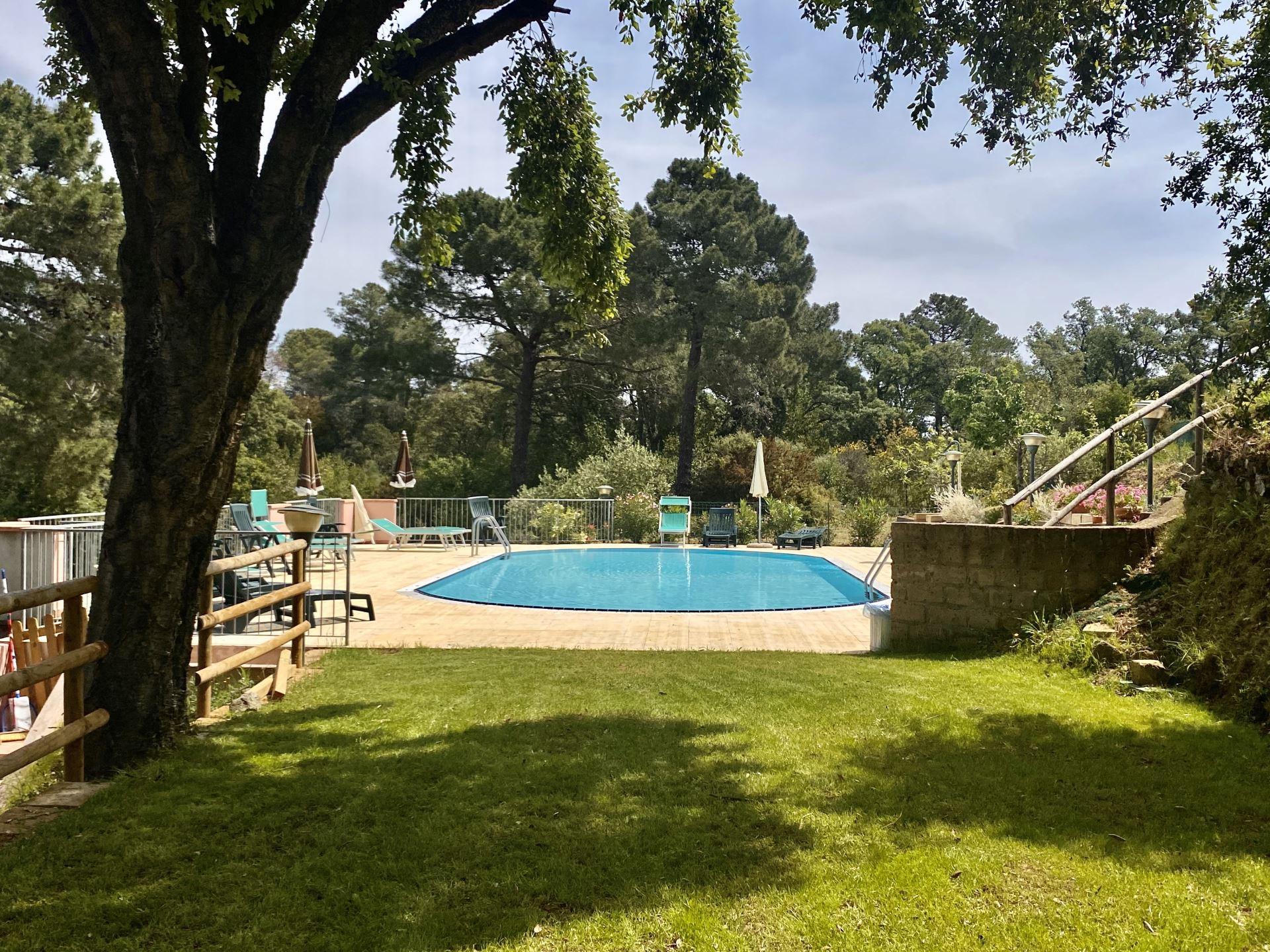 SERAMATTINO C