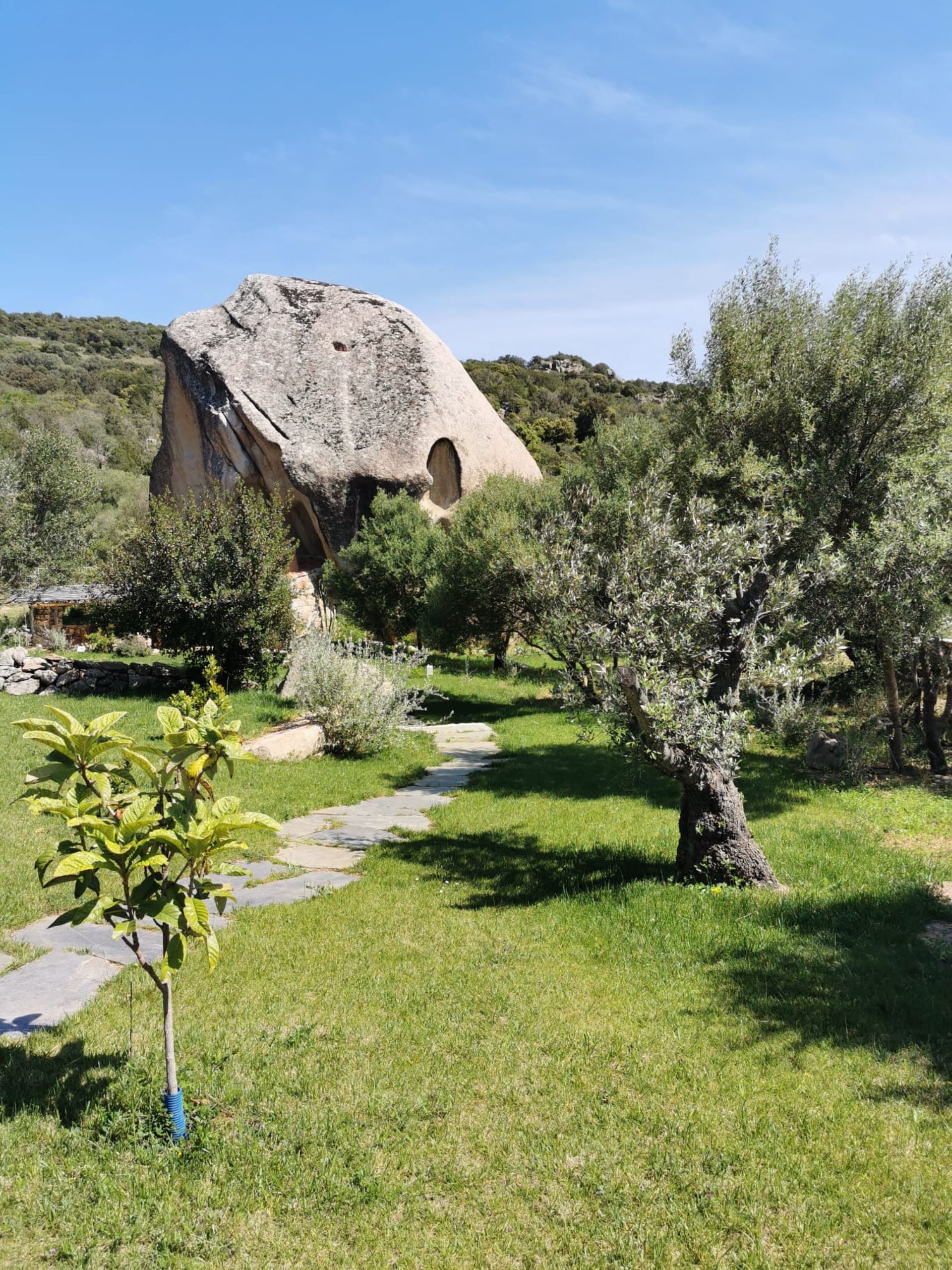 image Villa Jiov