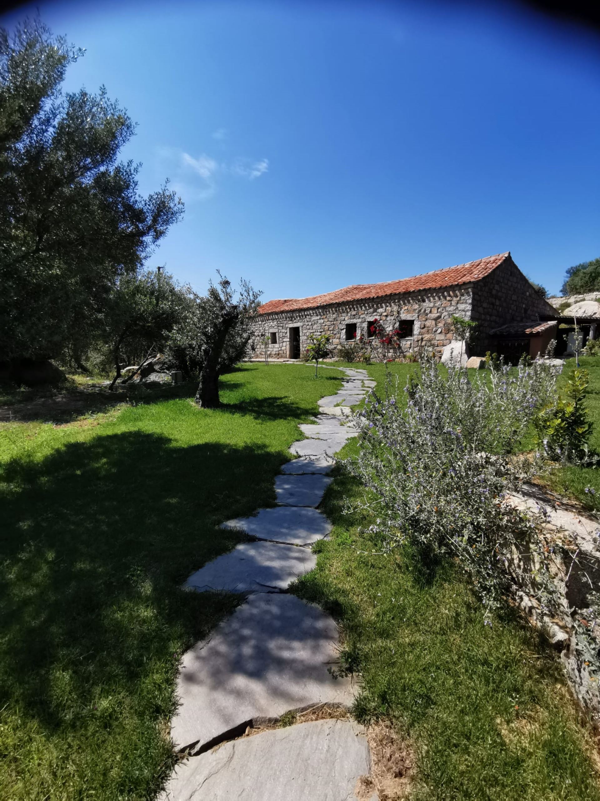 image Villa Jiov