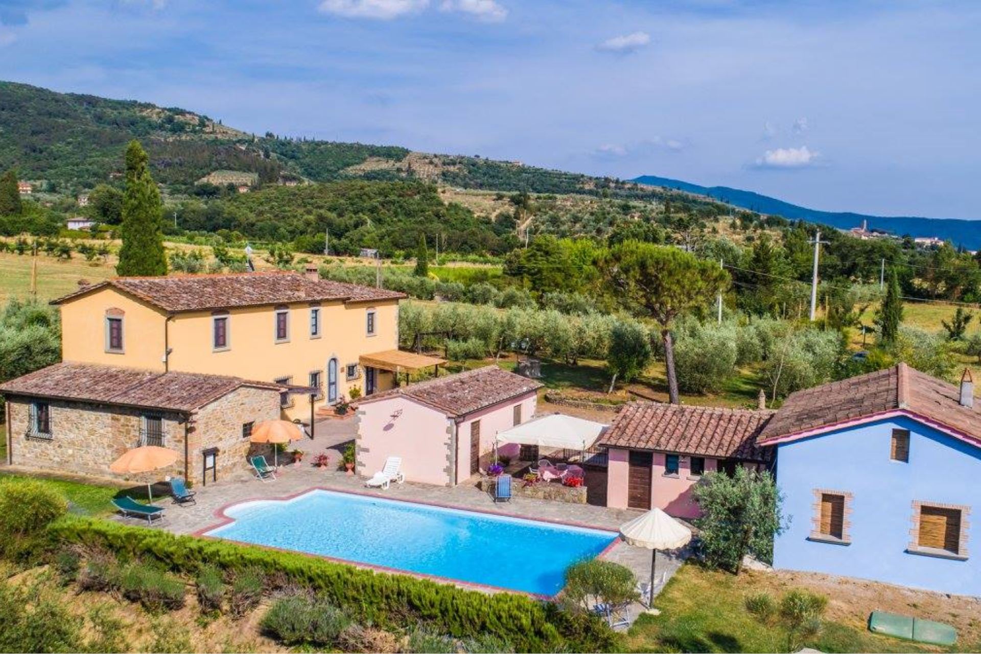 CASALE COZZANO - OLIVETO