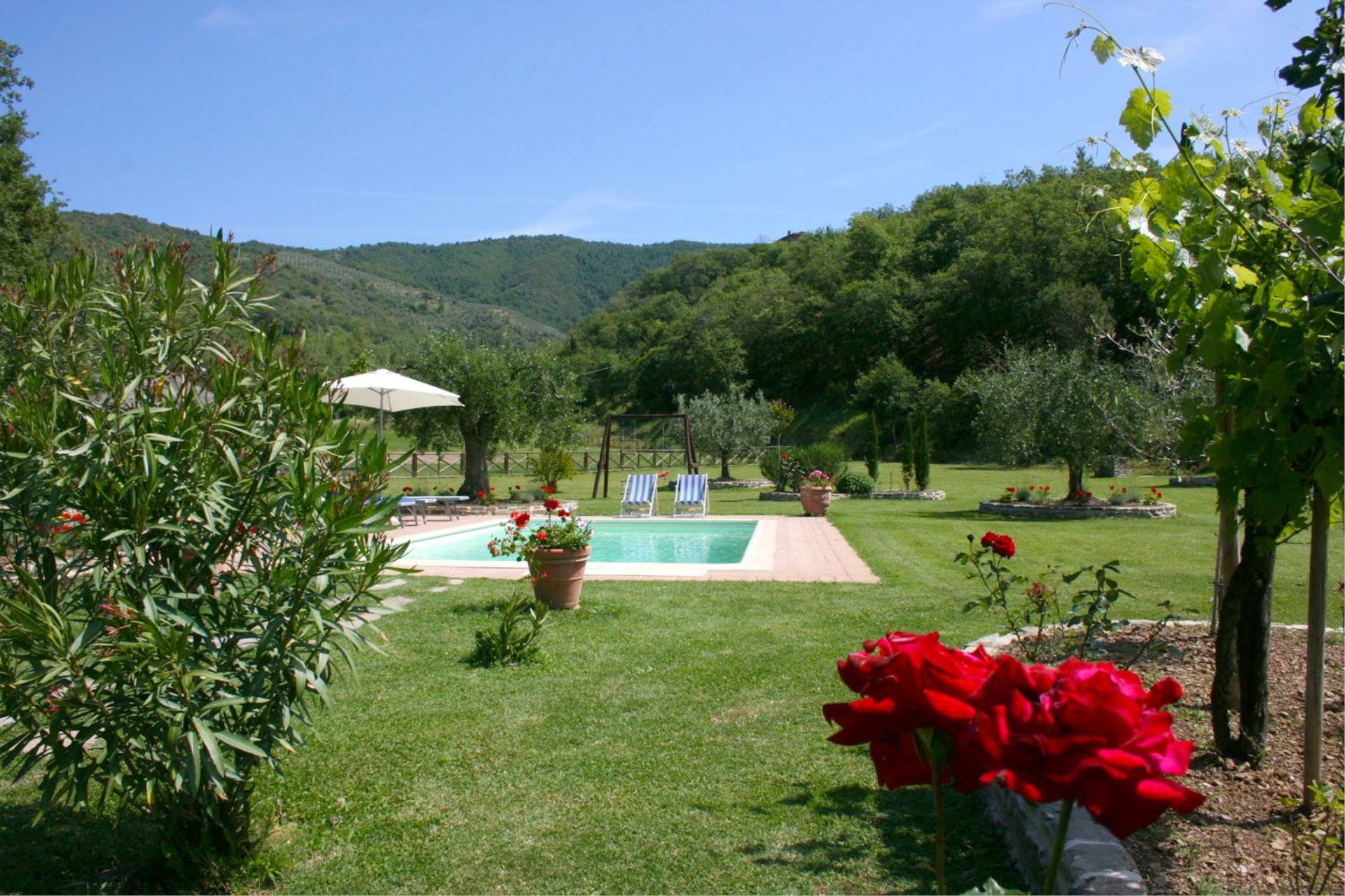 image CASINA PINA