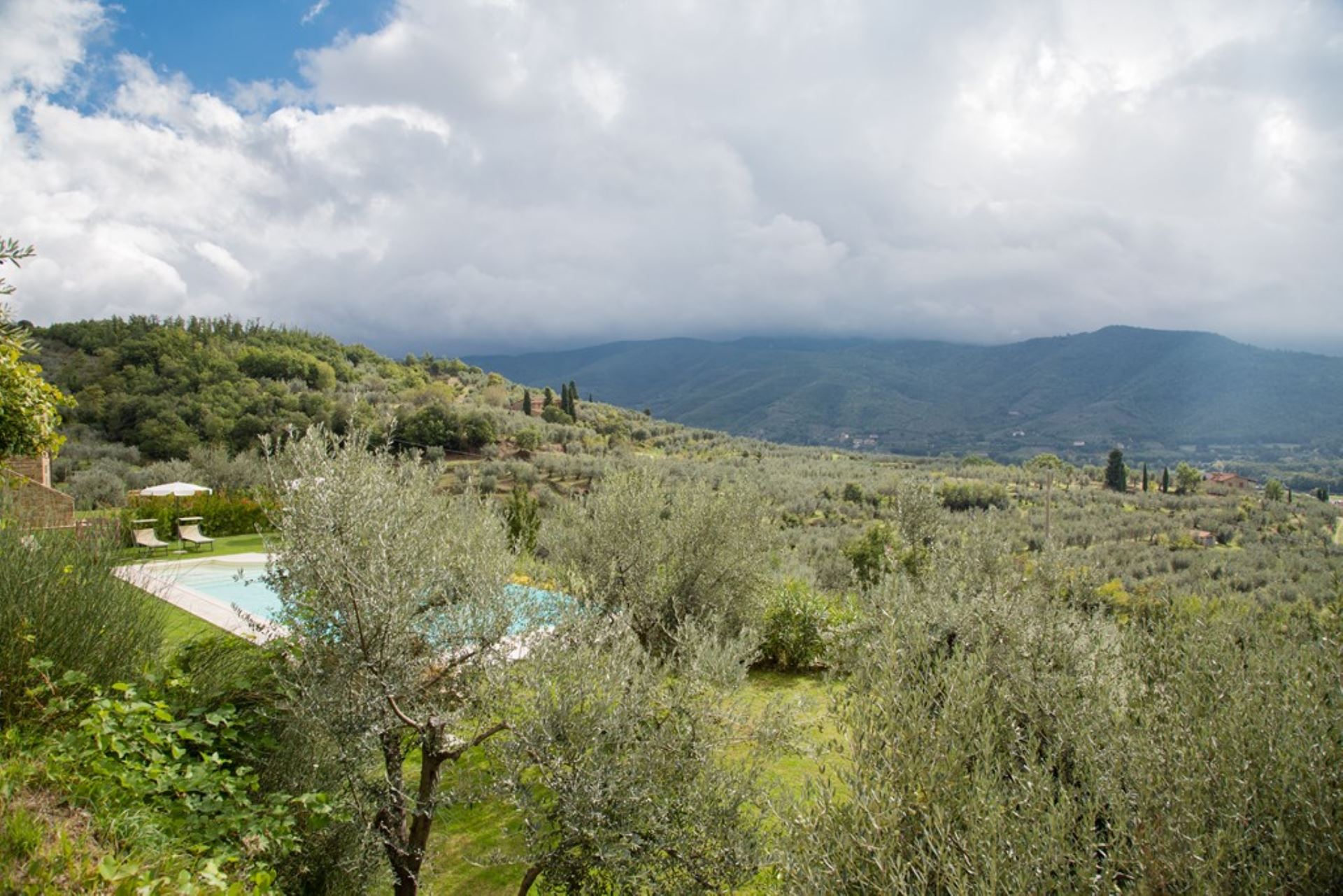 image LA MADONNINA