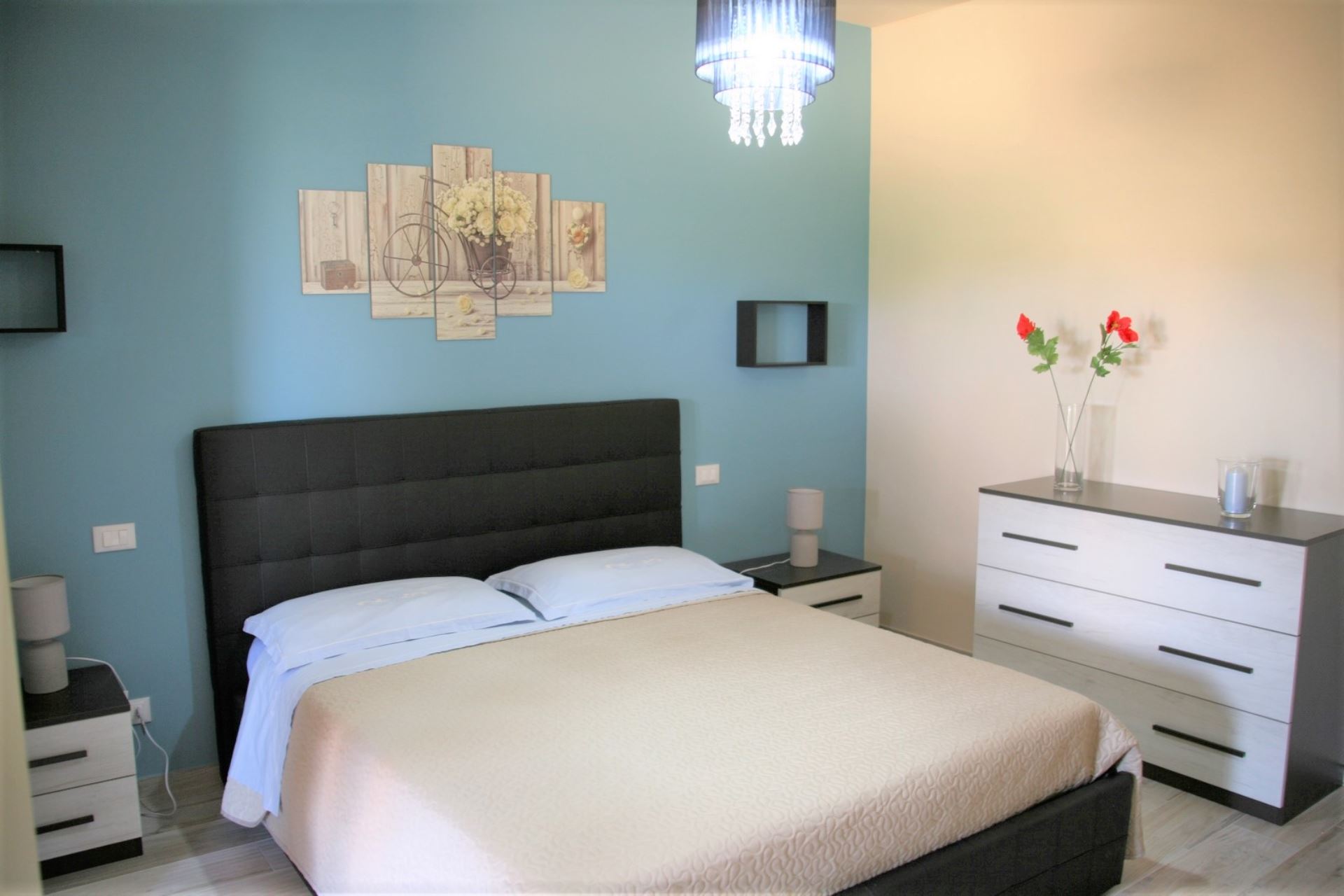 image SUNNYHILL