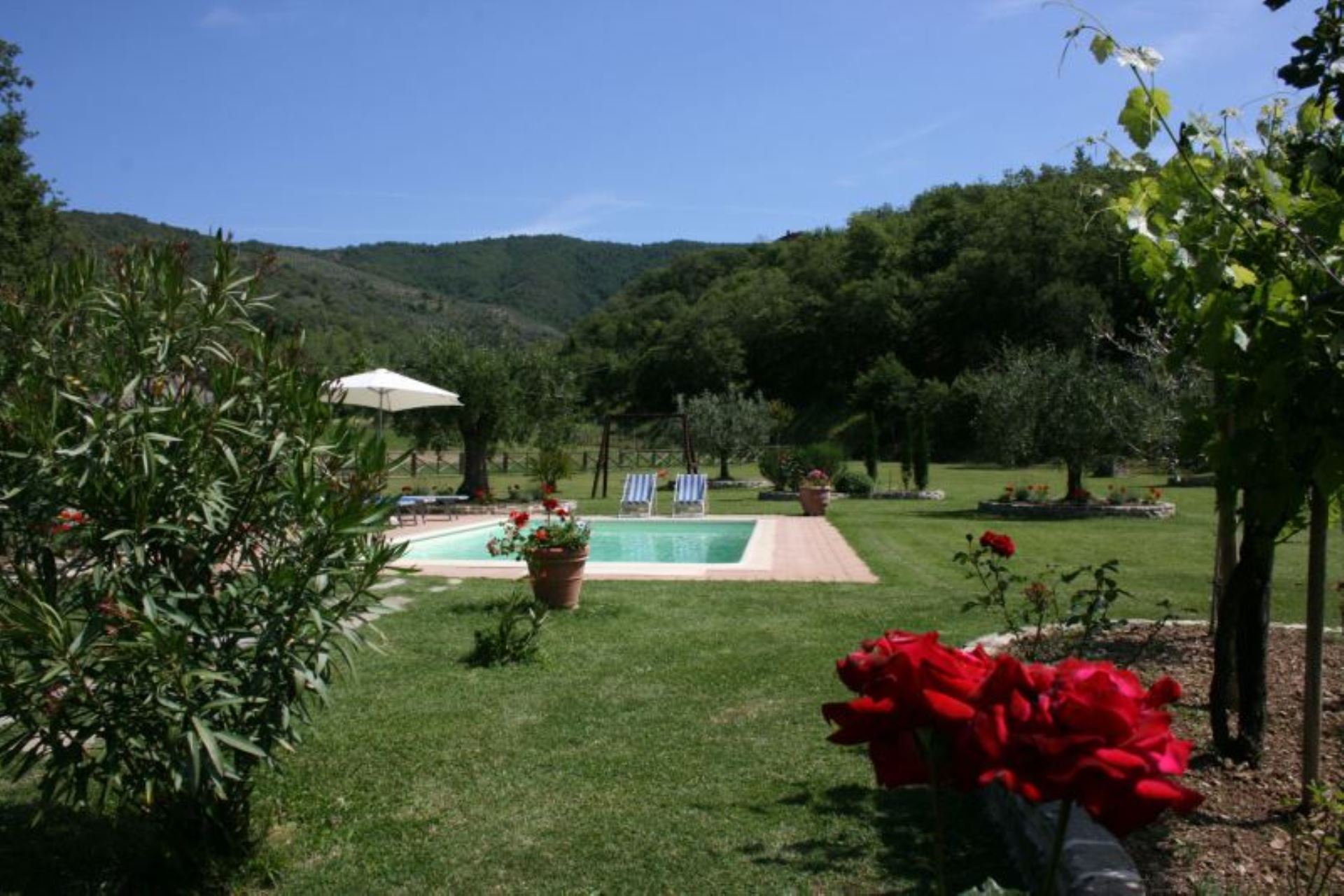 image CASINA PINA