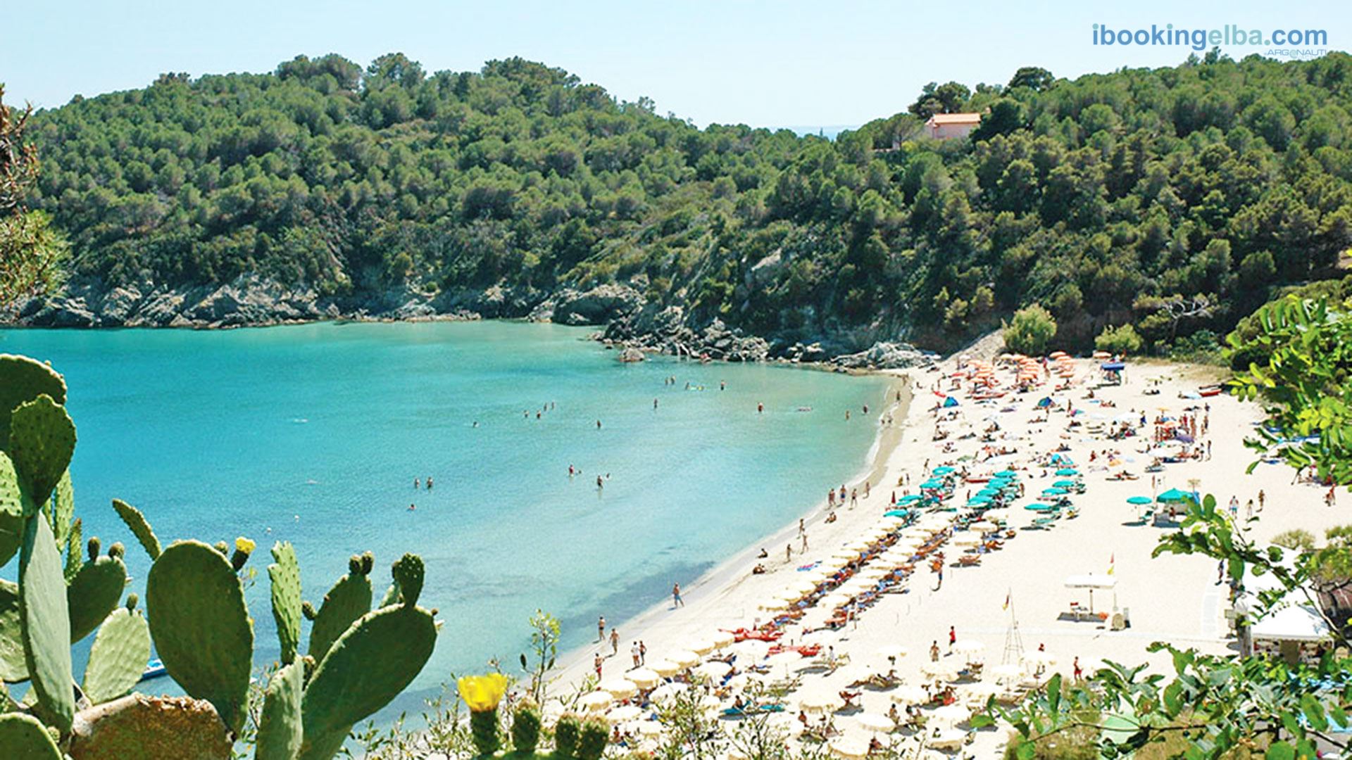 Spiaggia di Fetovaia