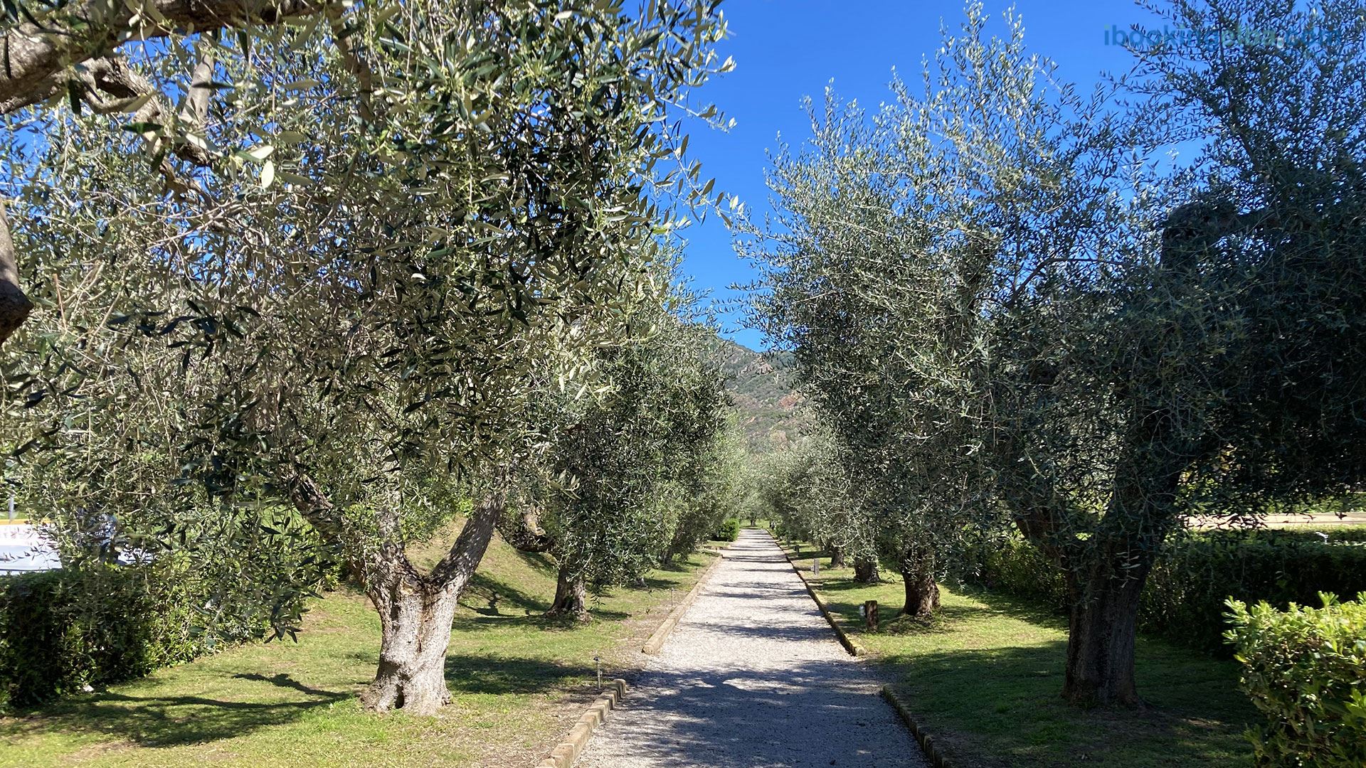 Sant'Anna del Volterraio - Vialetto