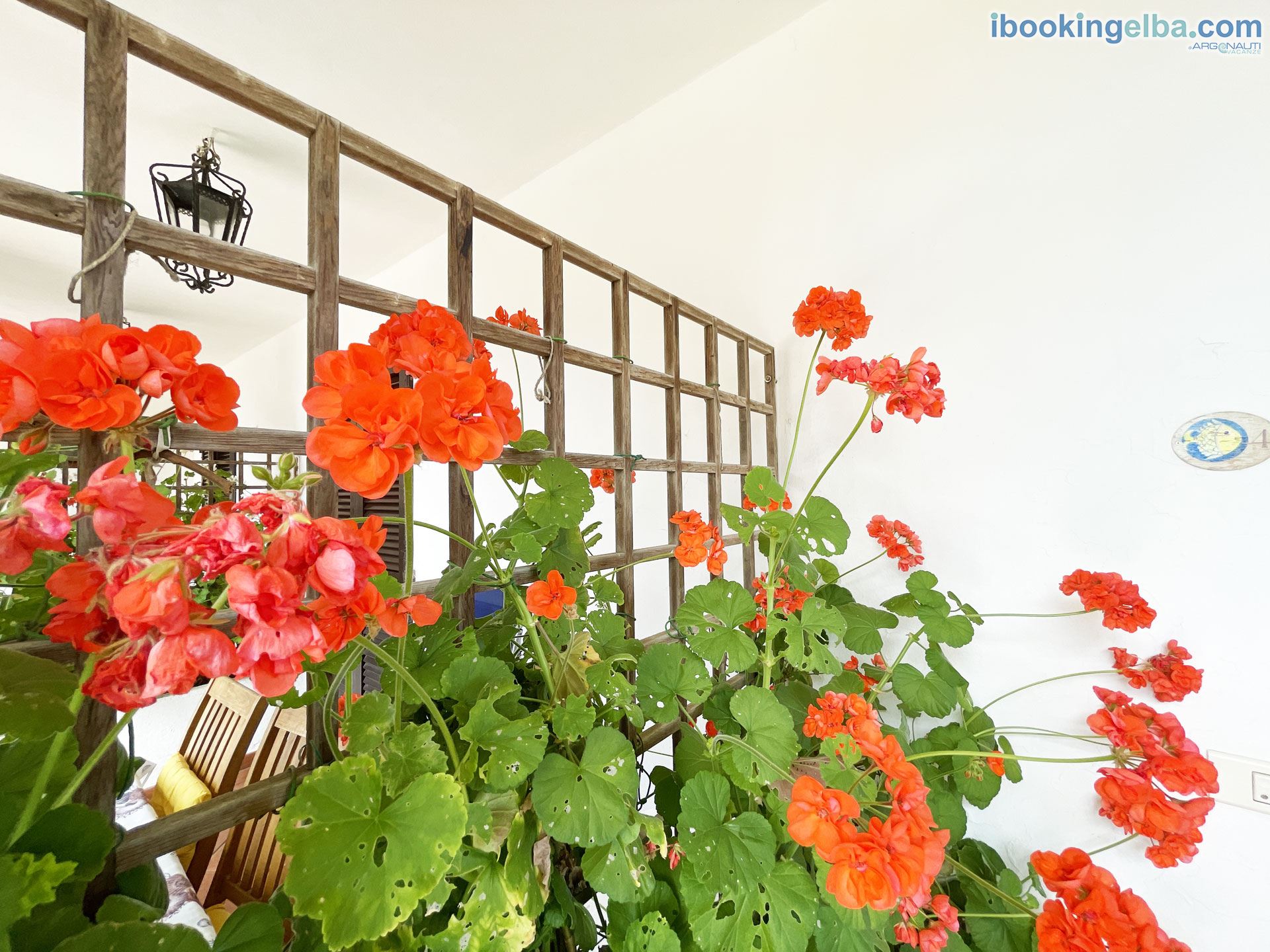 Bilocale (4) - Ingresso (Particolare)