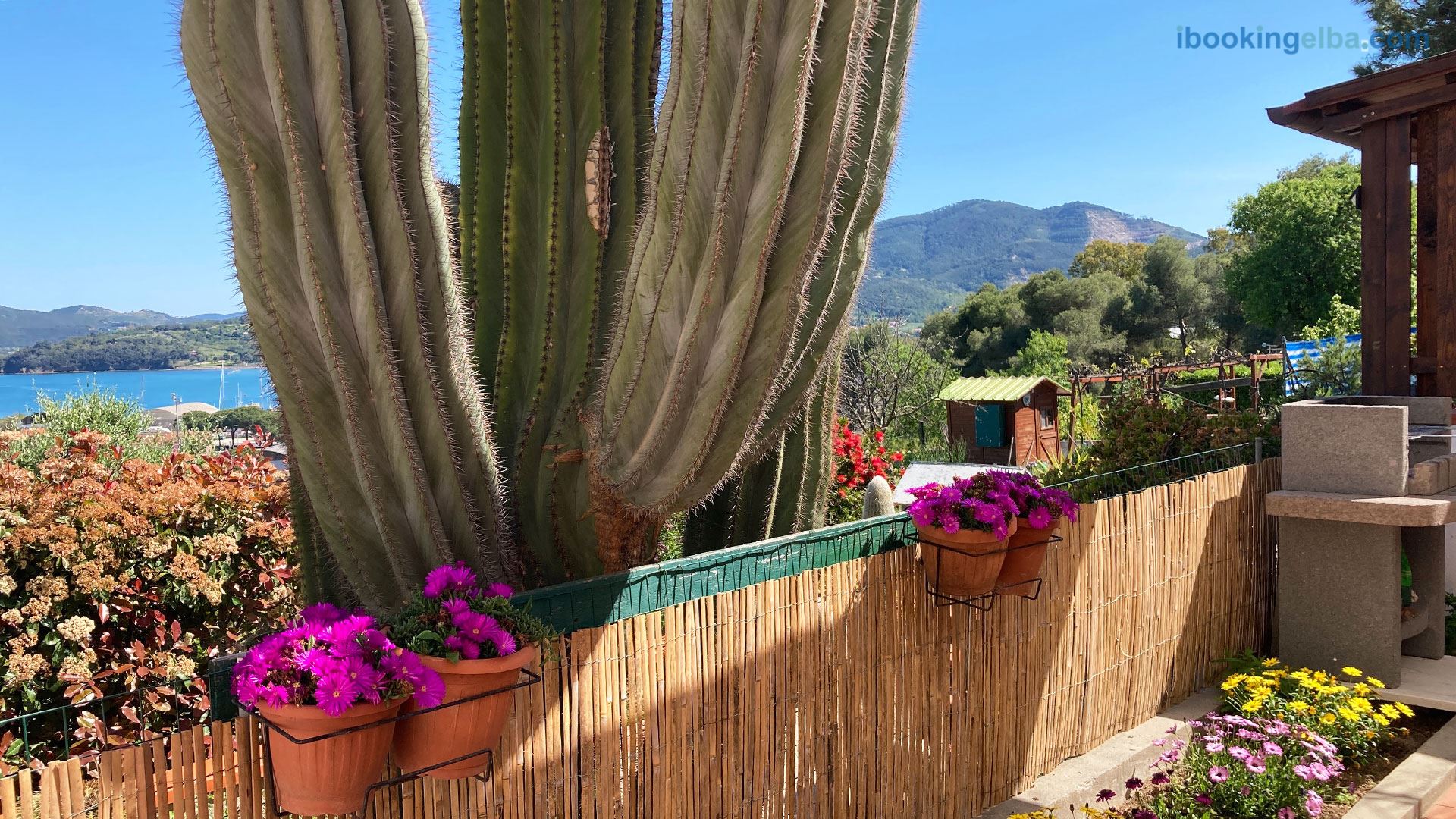 Casa Il Cactus - terrazza