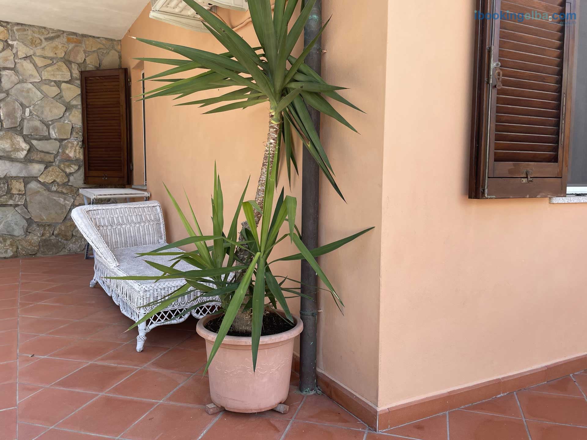 Casa Capo Perla - Giardino