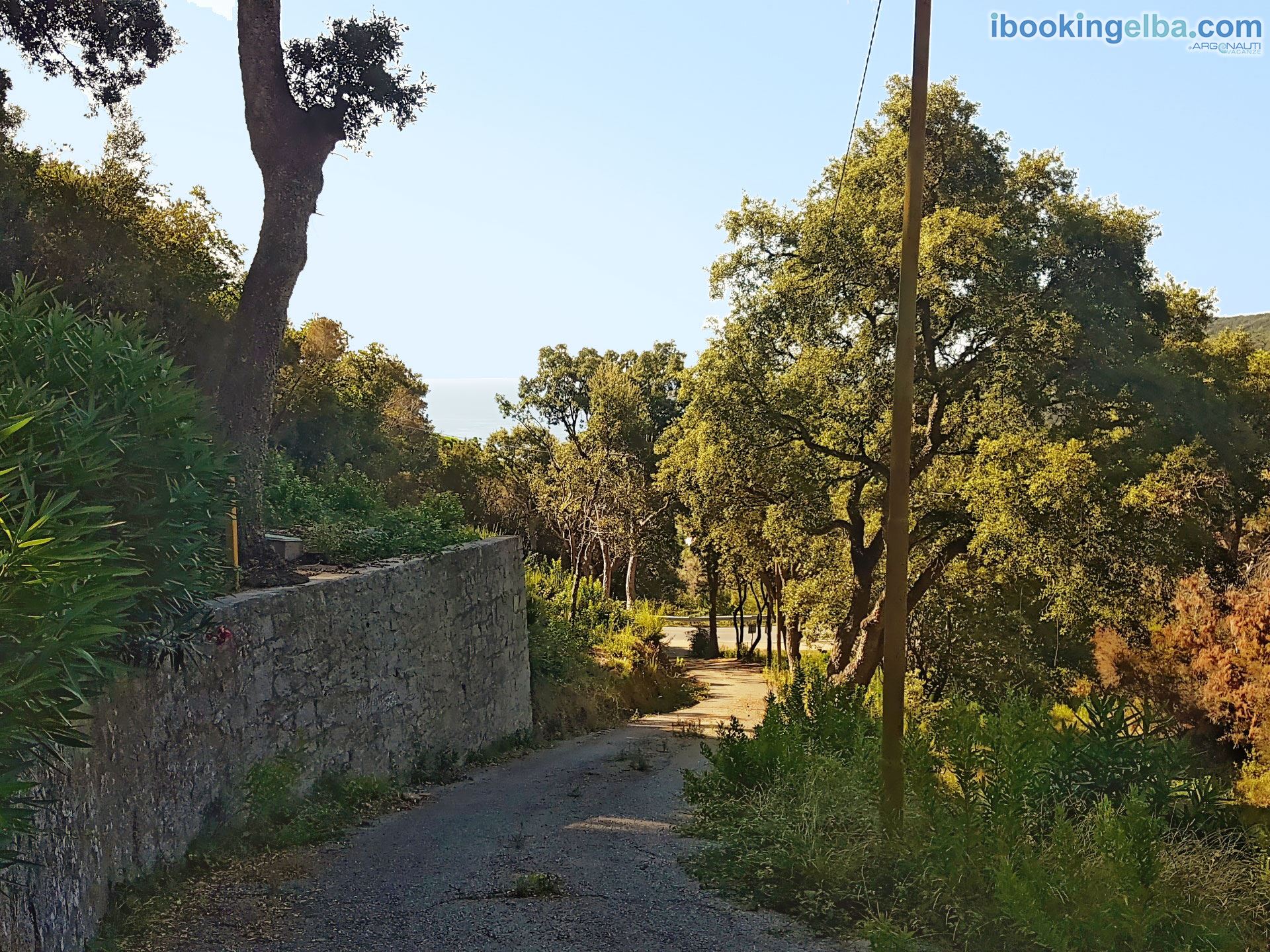 Villa ai Pini - Ingresso