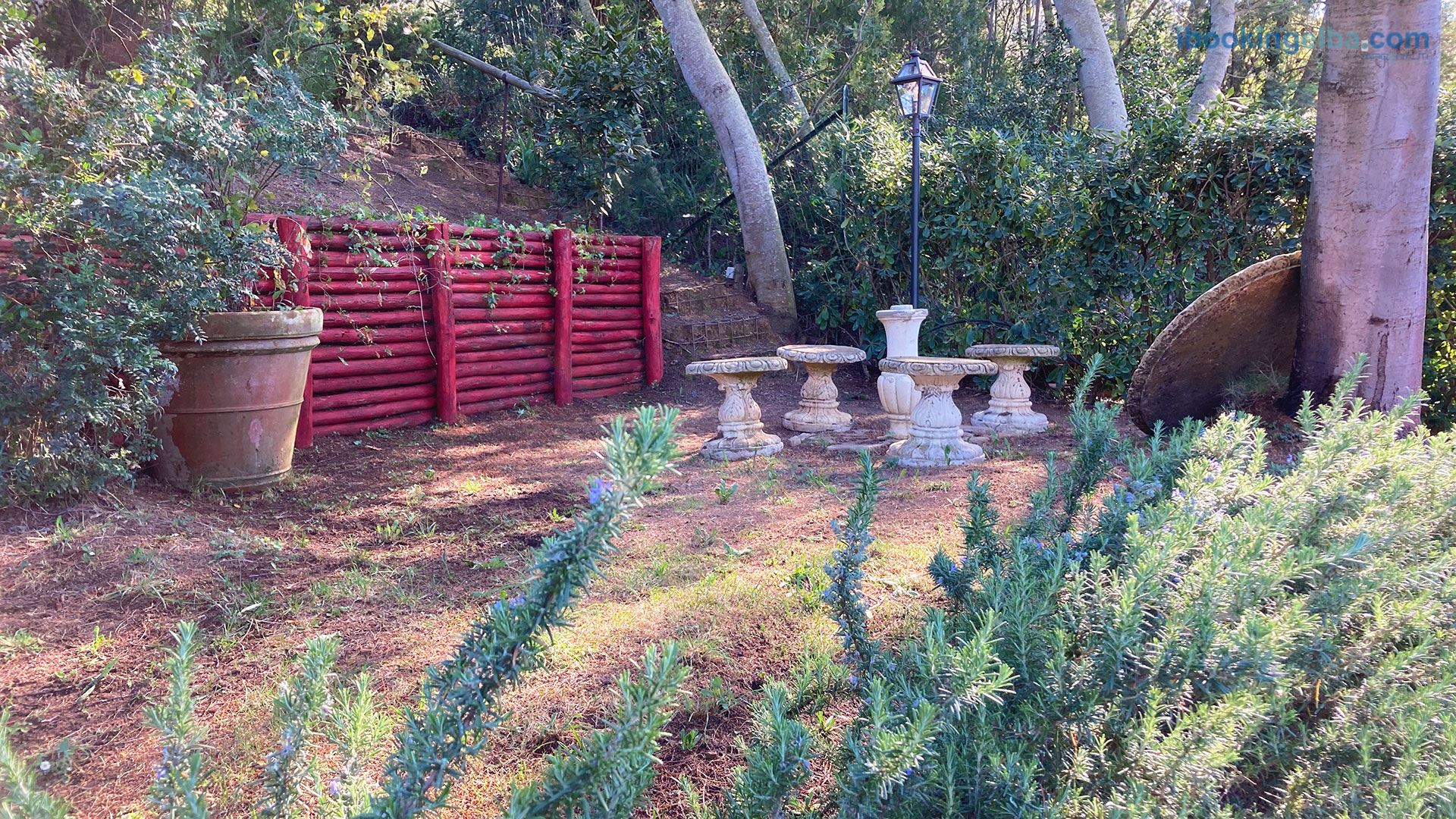 Sant'Anna del Volterraio - I Limoni 4 - Giardino