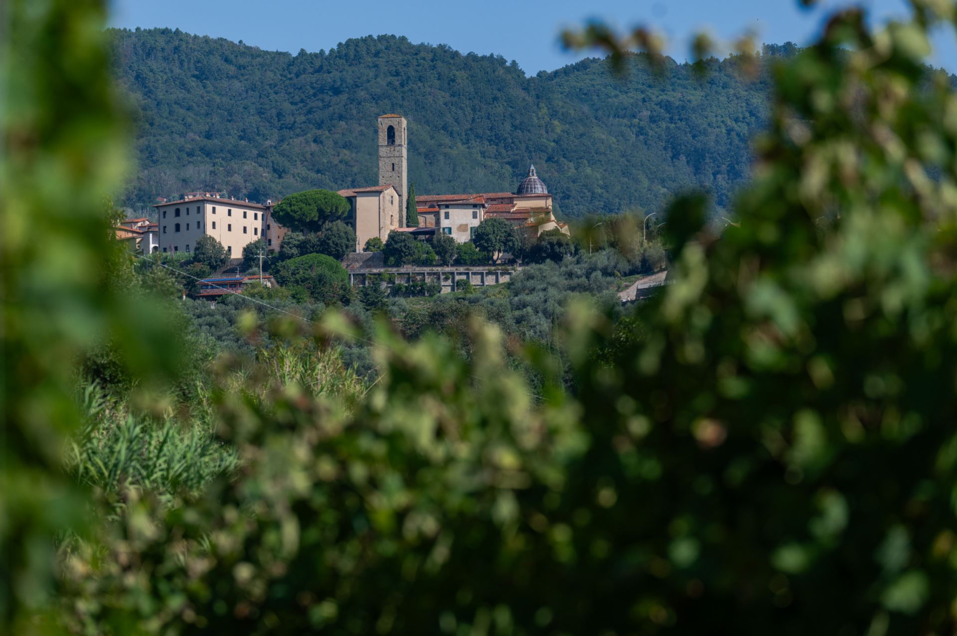 VILLA CREMA