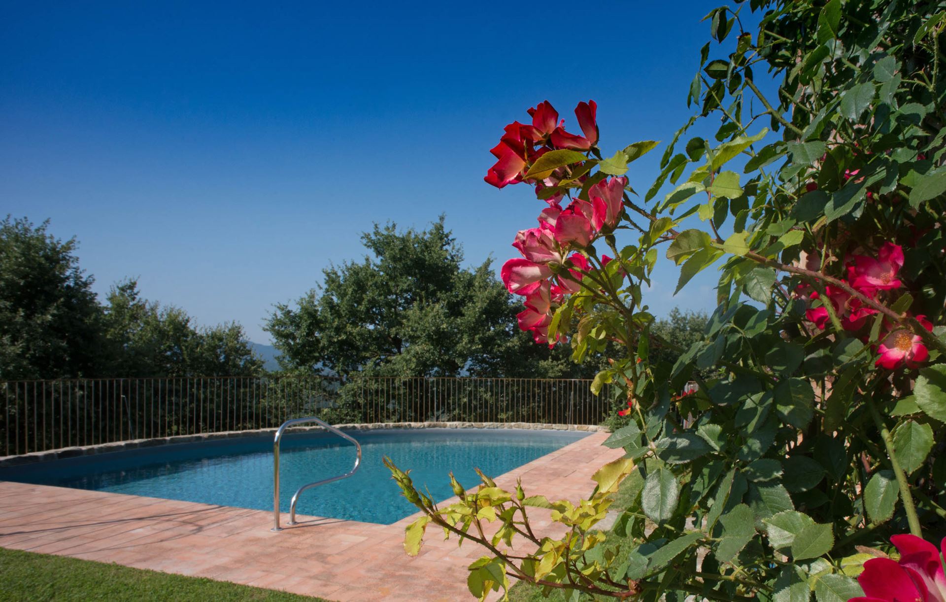 TENUTA DEL POMO