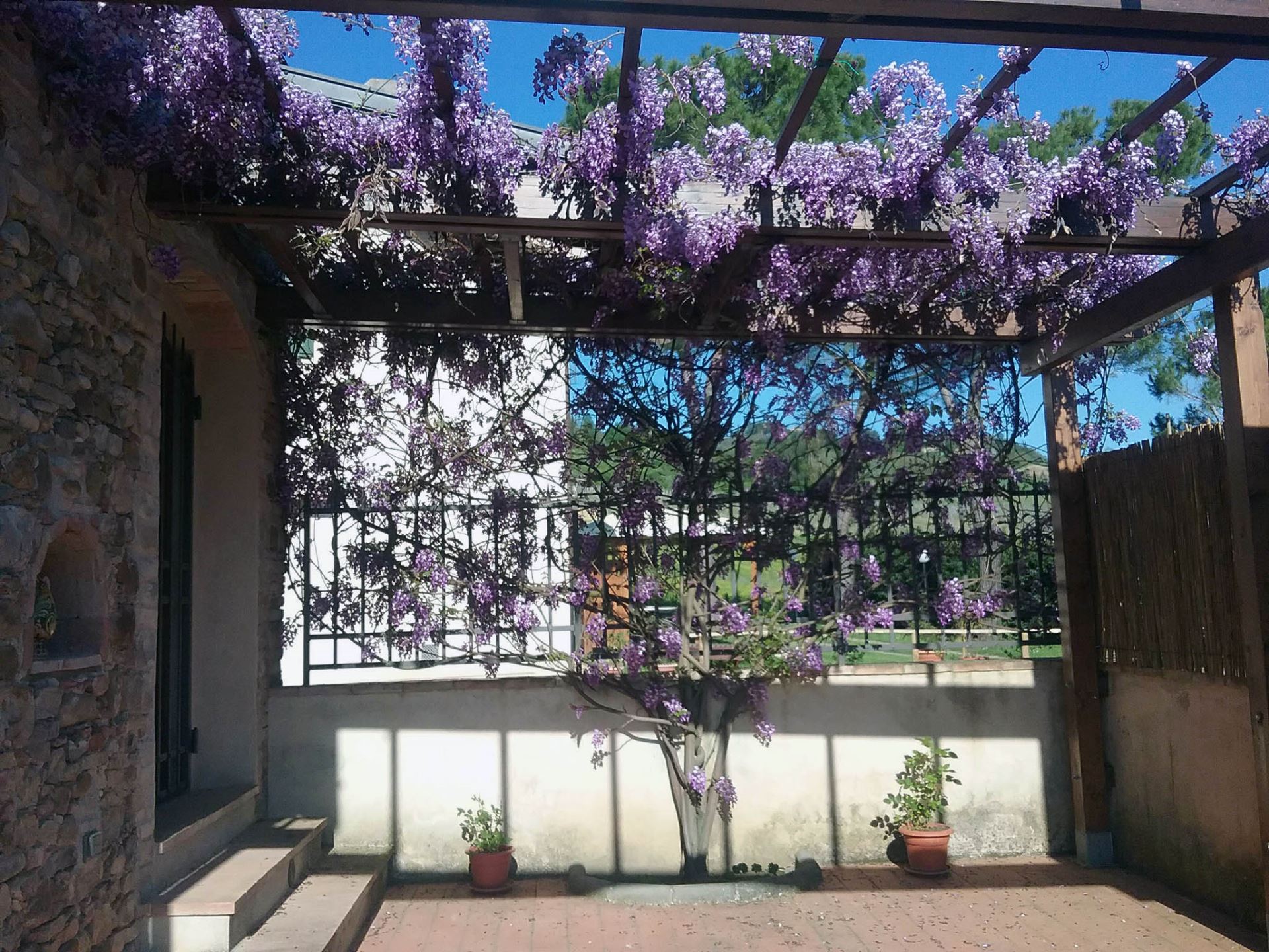 CASALE DI MUCCIANA