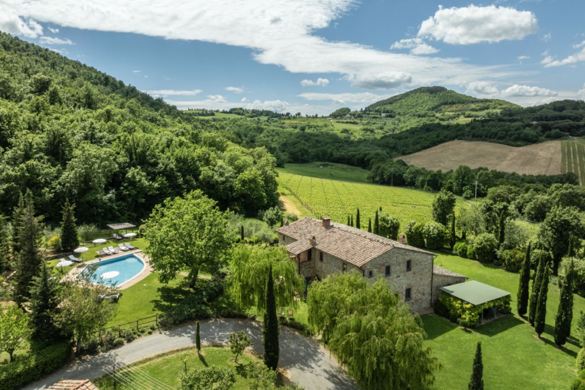 PODERE MONTI
