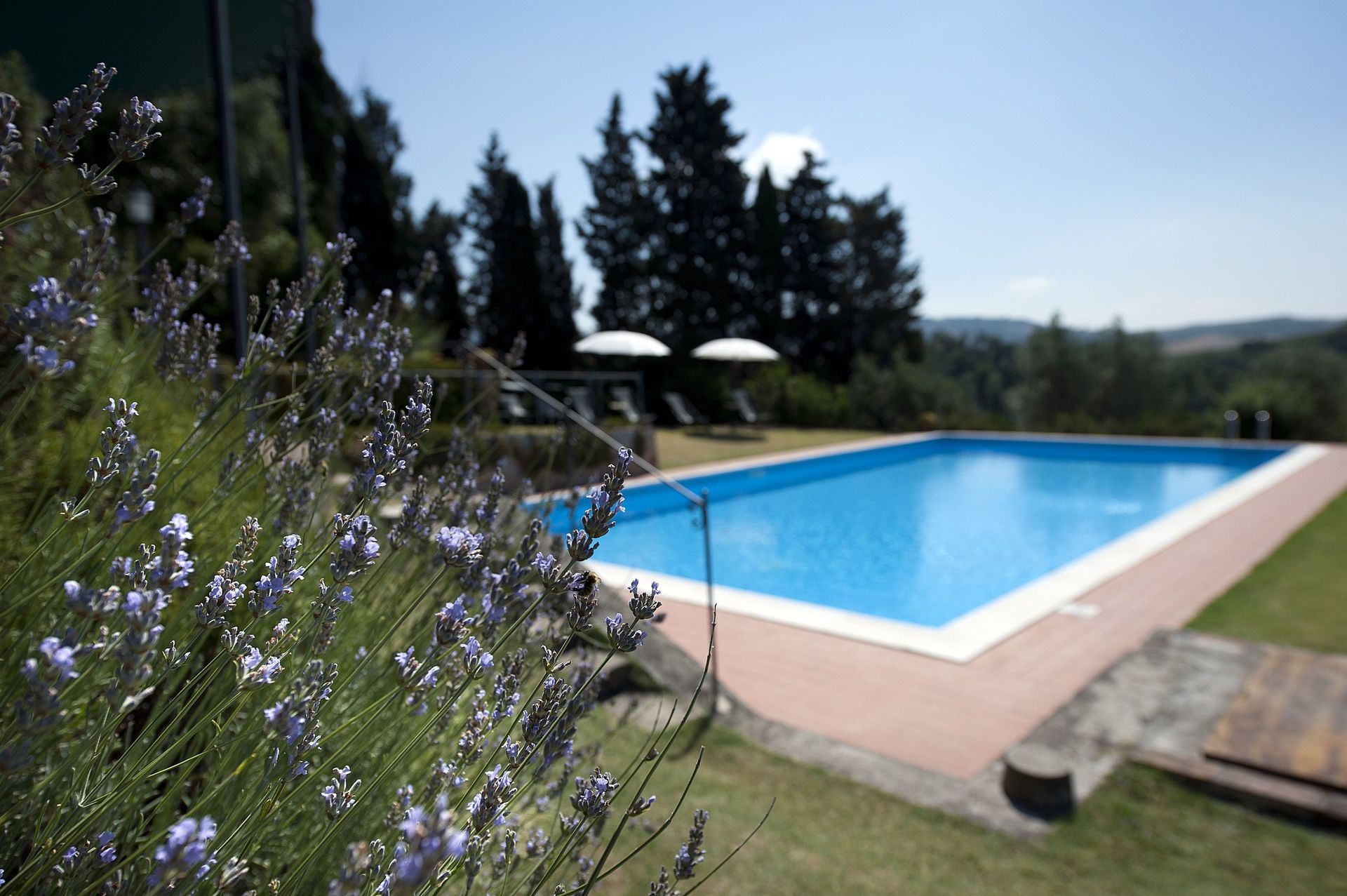 VILLA DEL MONTE