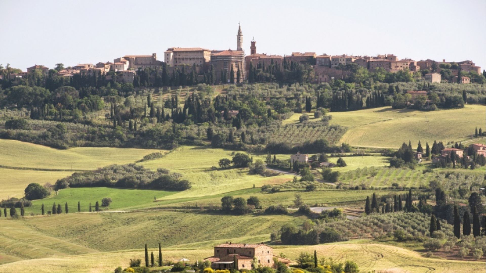 PRUGNOLO