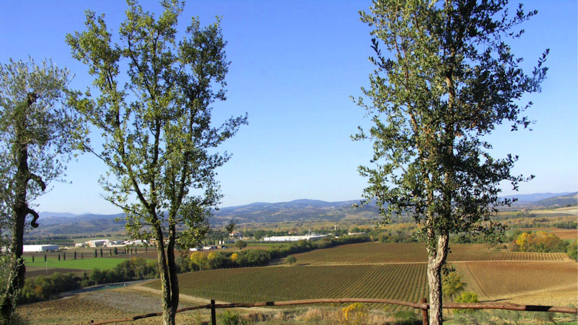 POZZUOLO - MONTE ANTICO