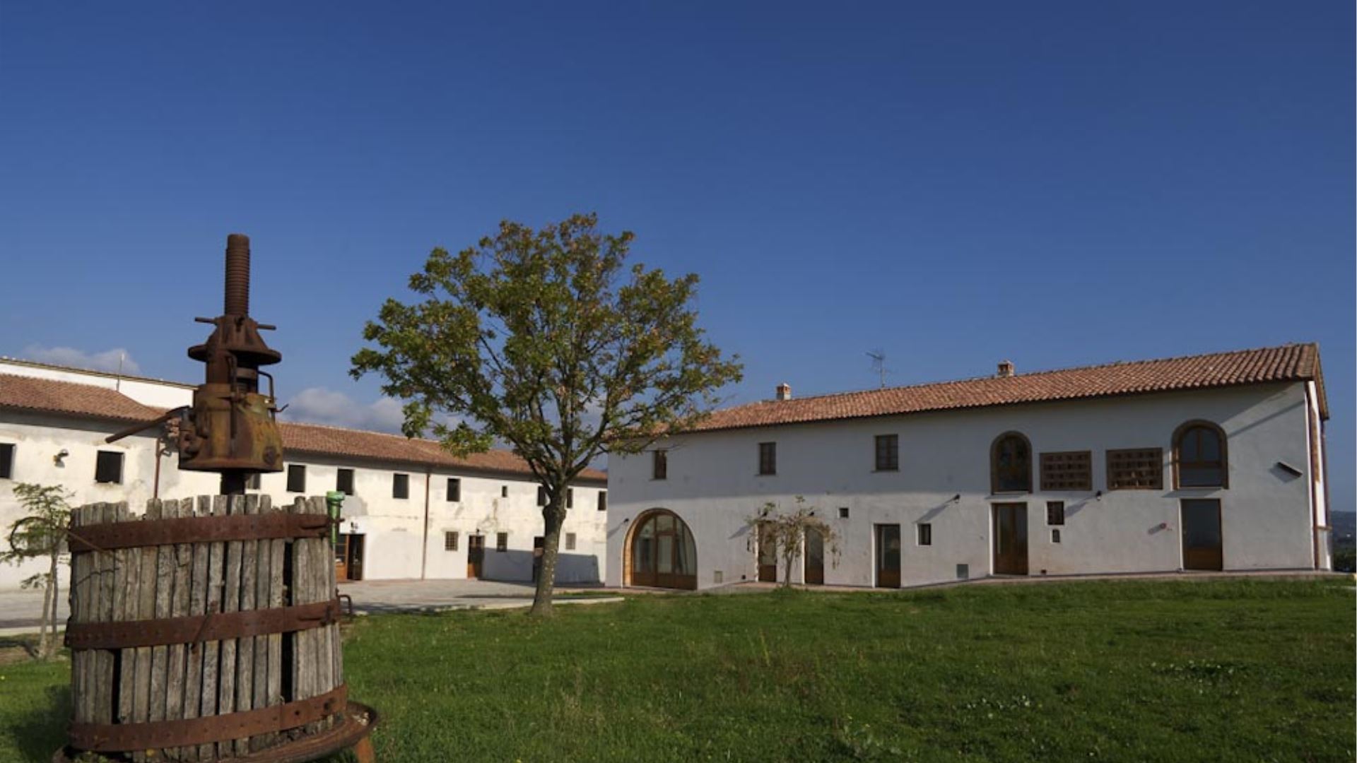 BELVEDERE E CLARINETTO - TROMBA