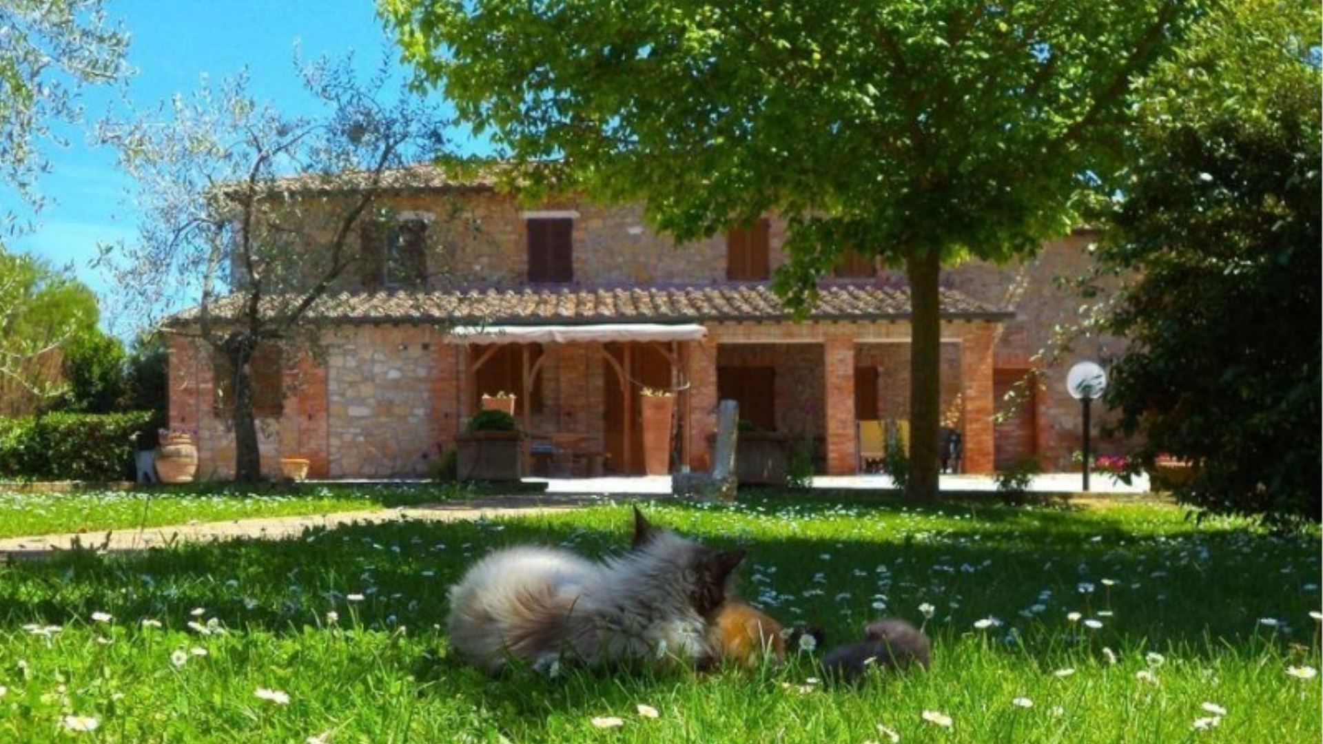 PALAZZO CONTI B - CIPRESSINO