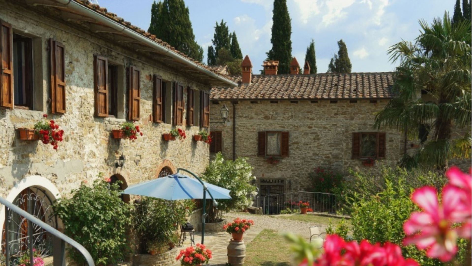 LE PALAIE - GELSOMINO