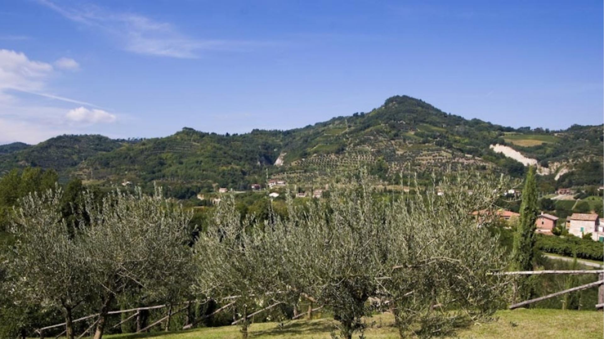 OVELLO