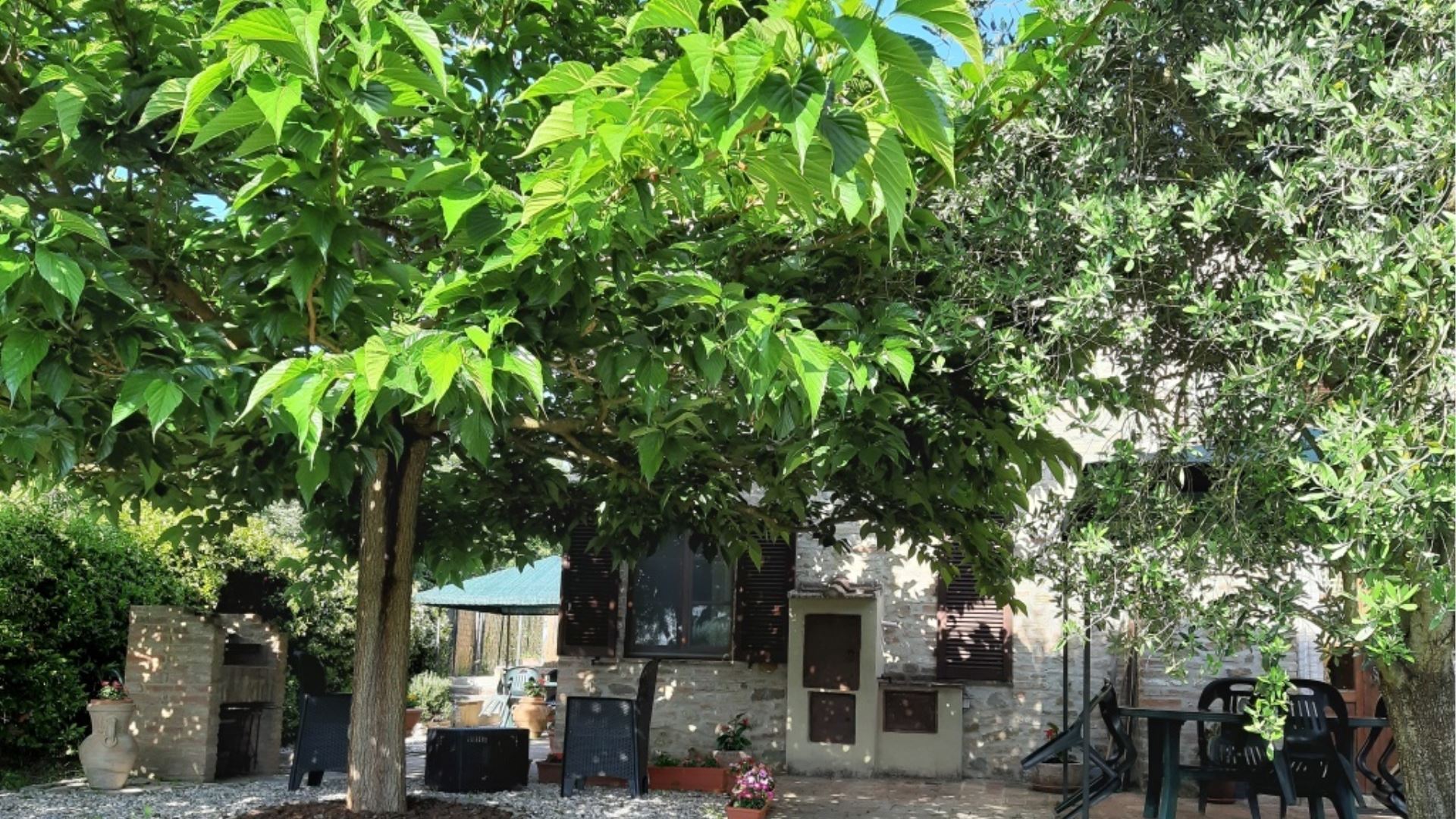 IL BOSCO