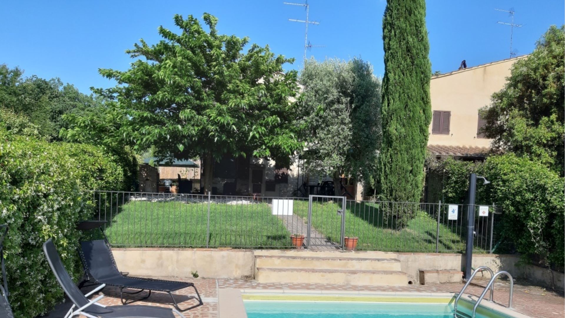 IL BOSCO