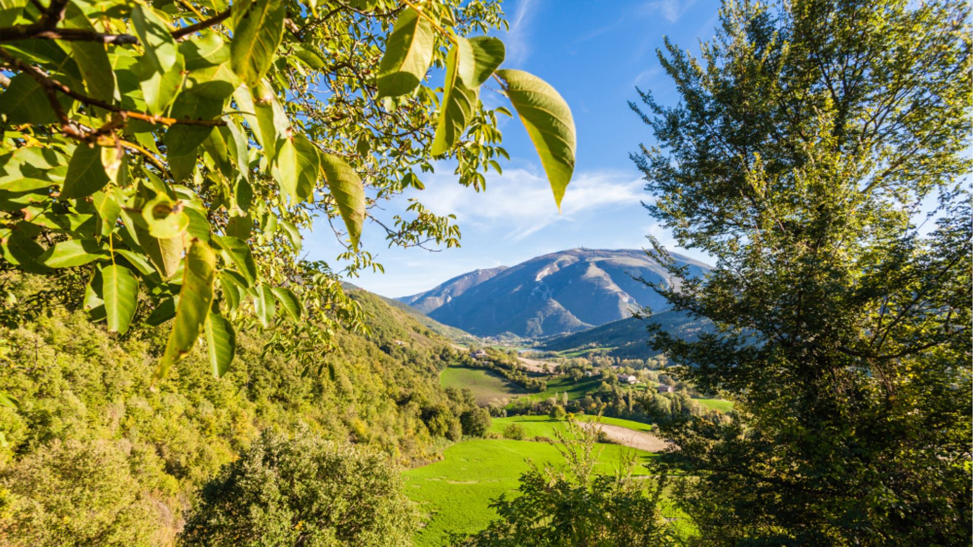 CA' LICOZZO