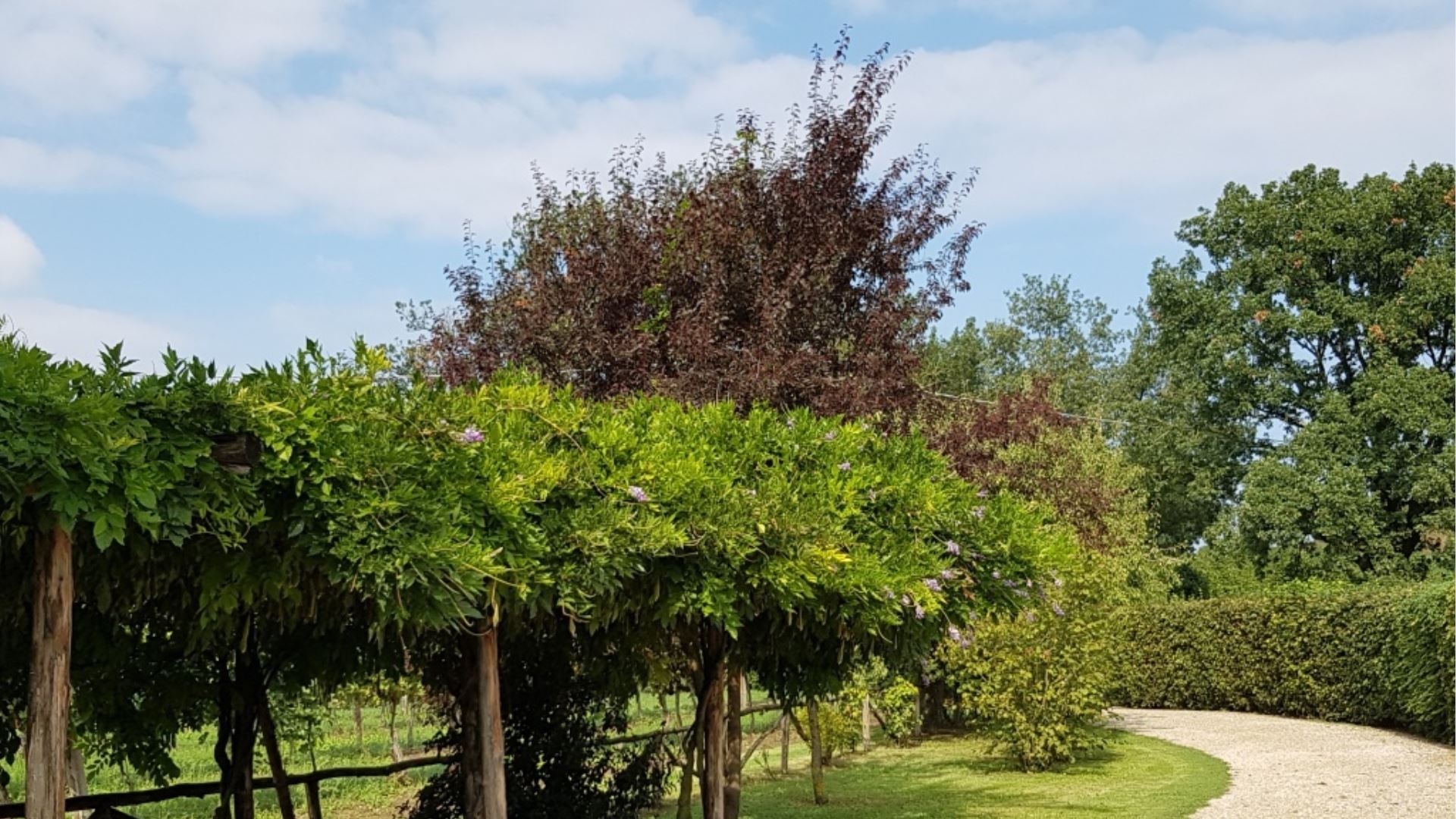 PODERE LA CASETTA