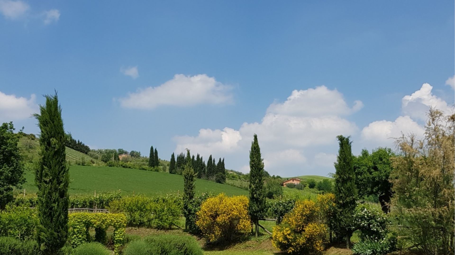 PODERE LA CASETTA