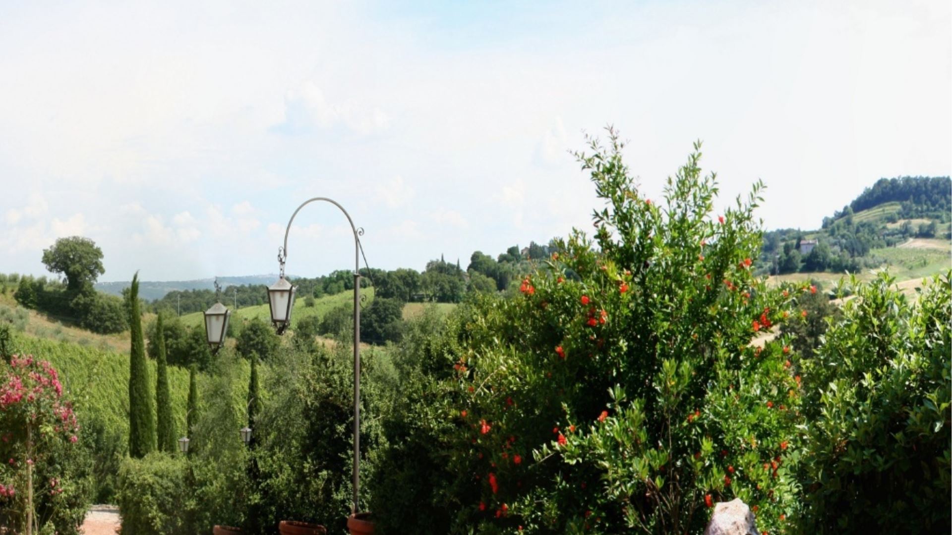 PODERE DELLA BRUCIATA