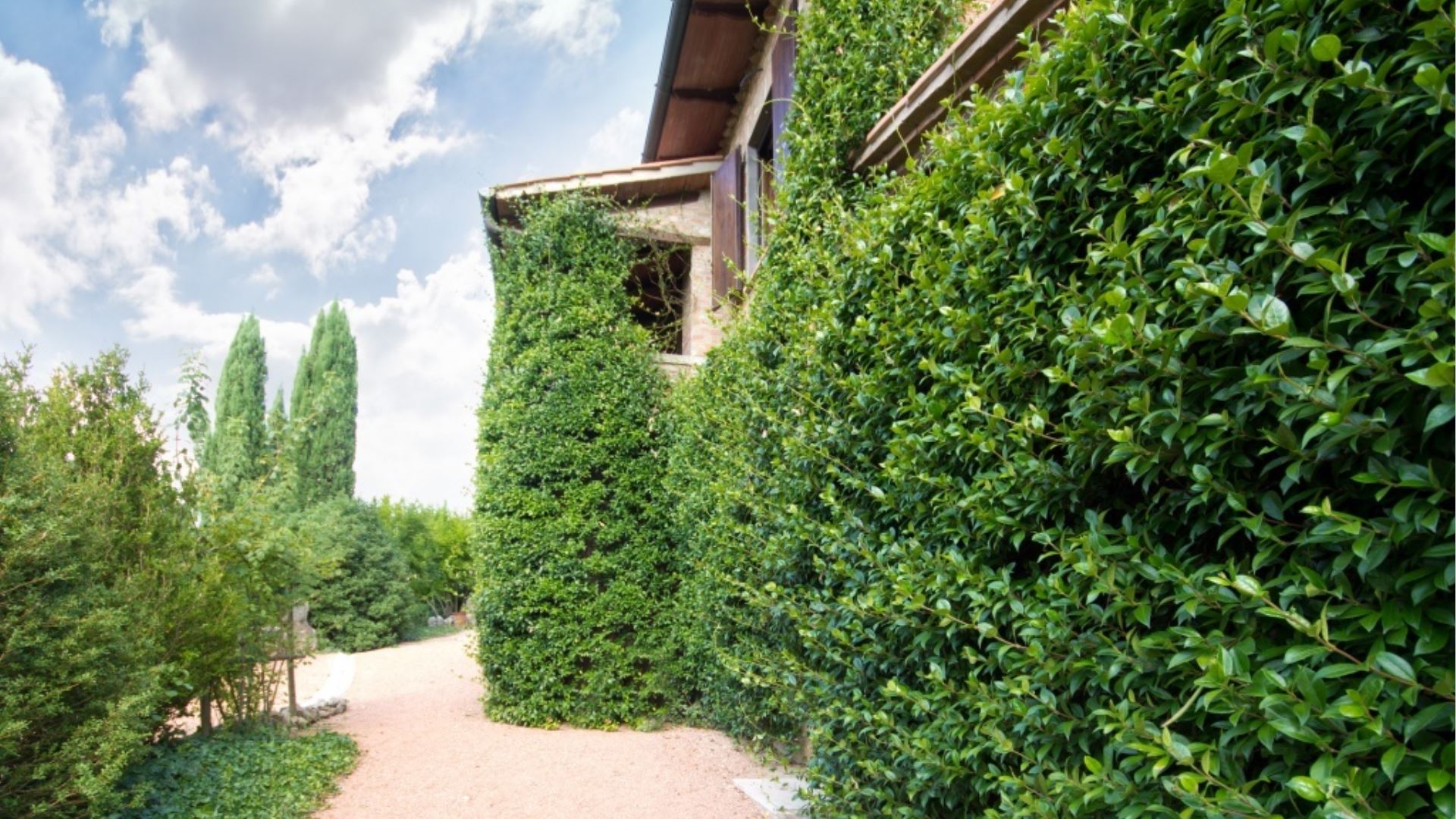 PODERE DELLA BRUCIATA