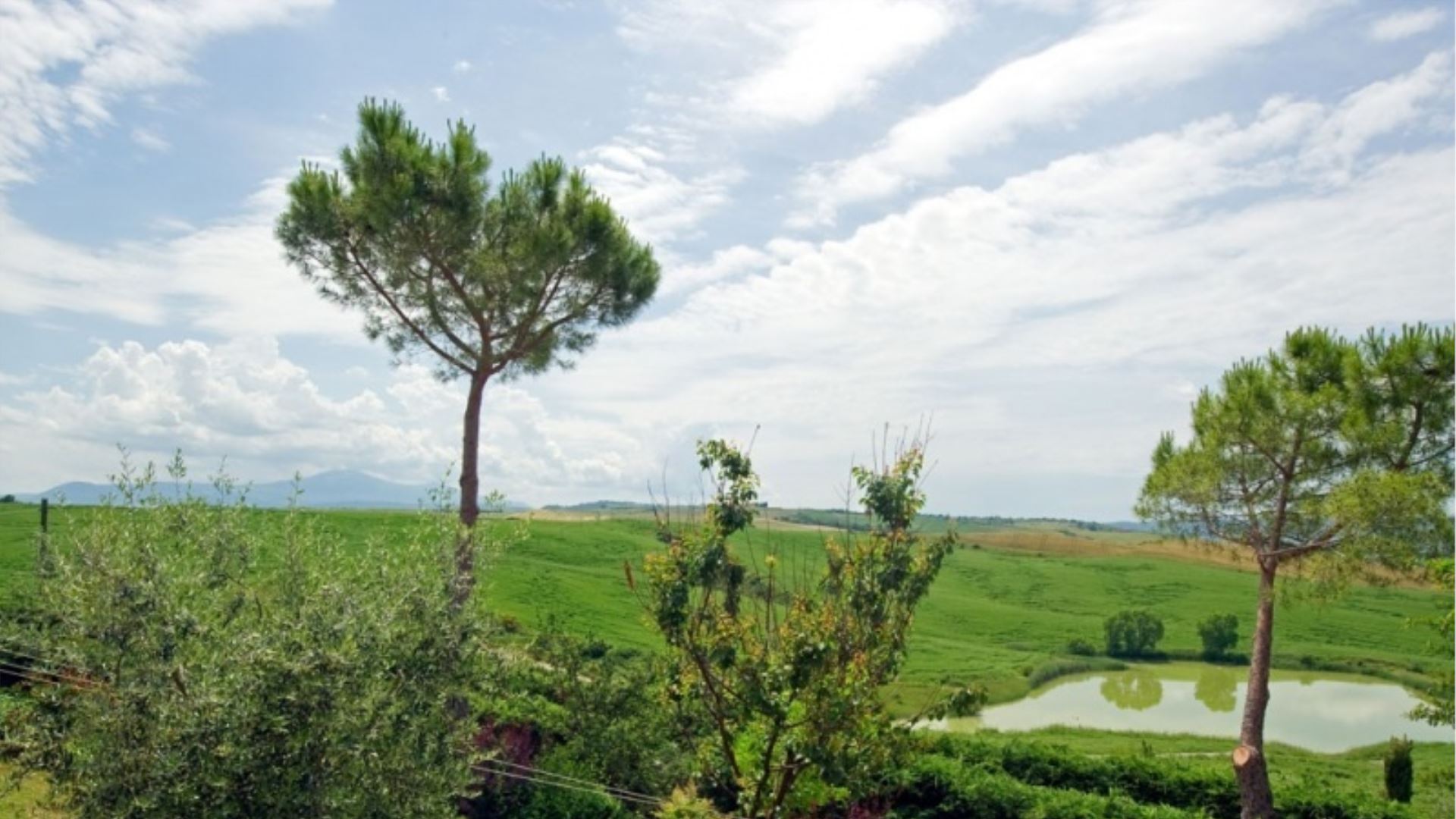 PALAZZO CONTI B - ZENZERO