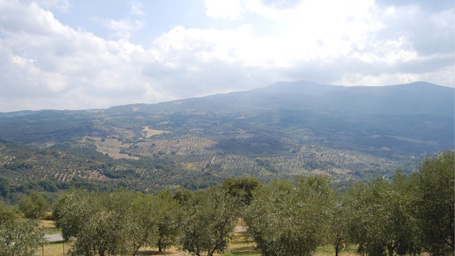 POGGIO APERTO