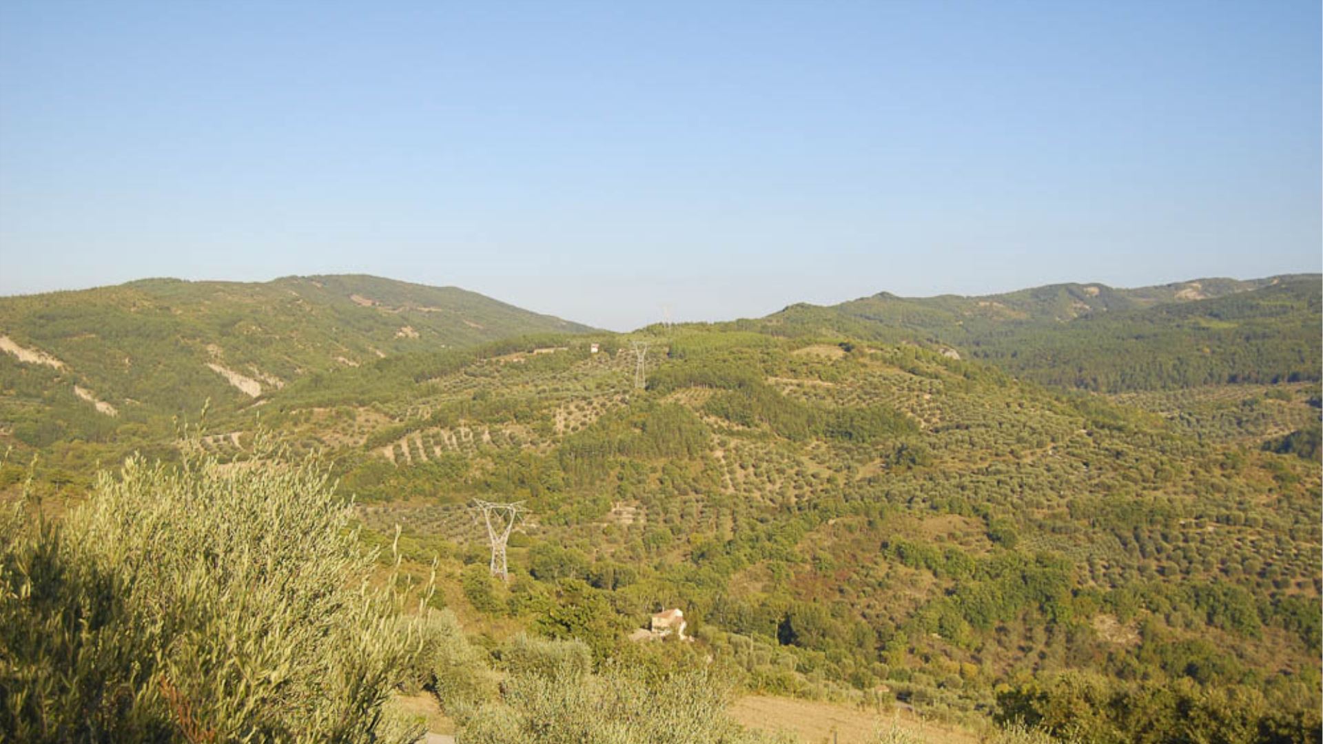POGGIO APERTO