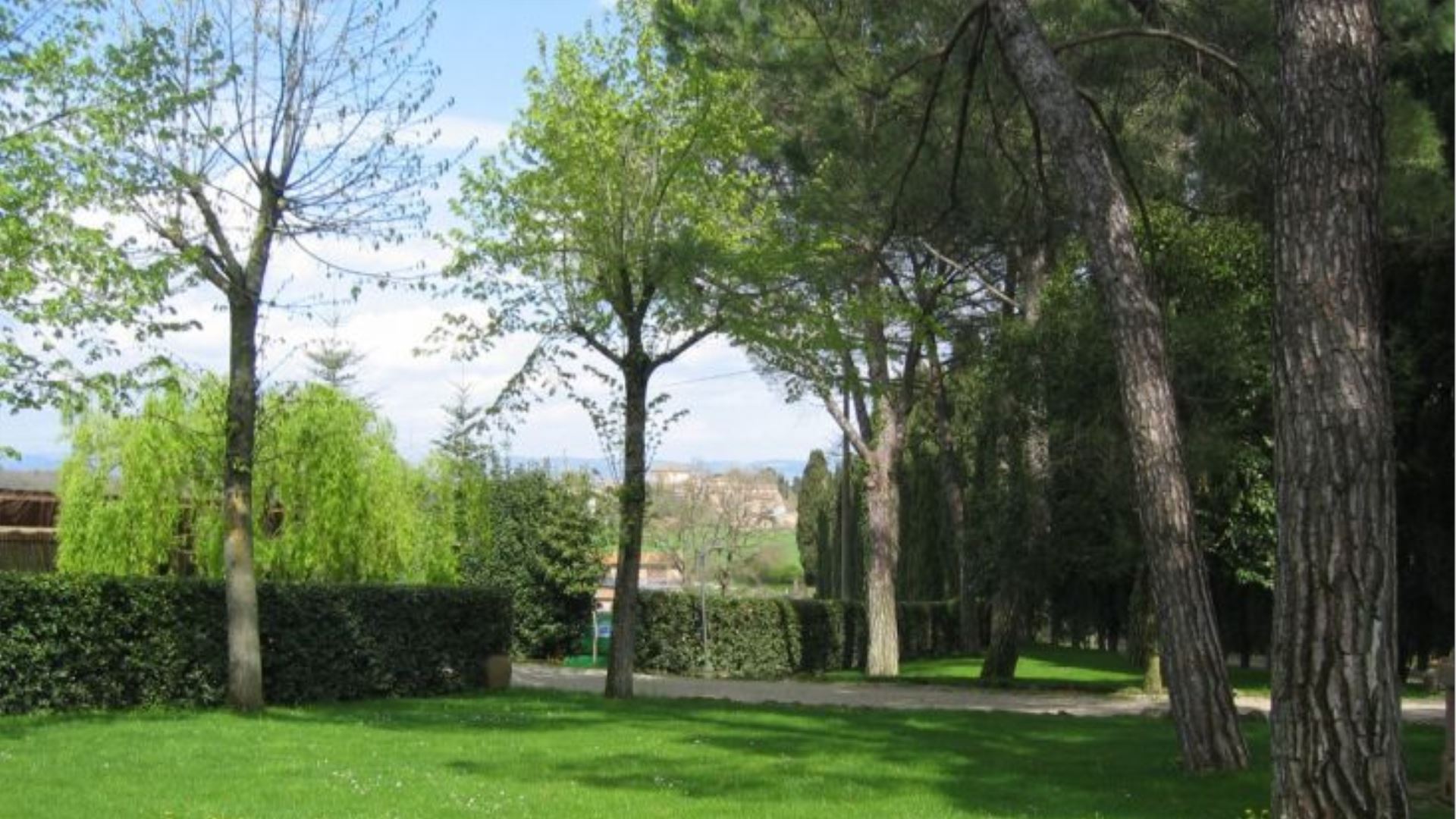 BORGO SANTINOVO - TORRINO