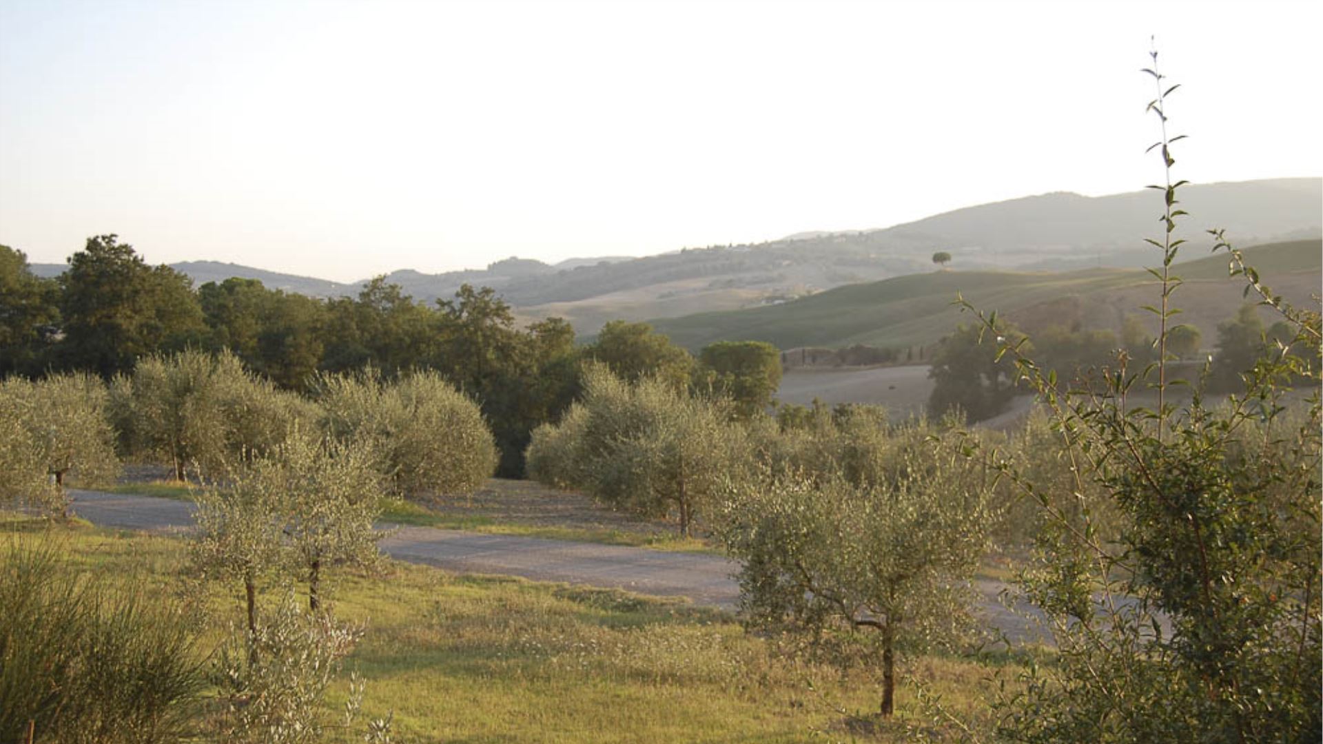 SANTO STEFANO