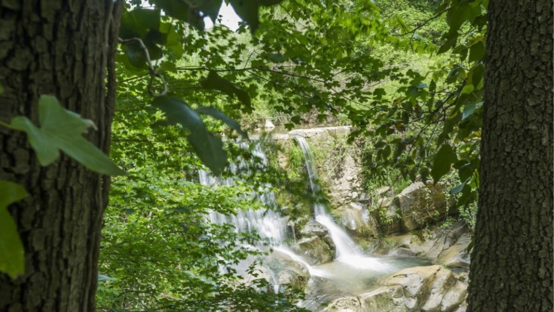 MULINO DELLA FRATERIA