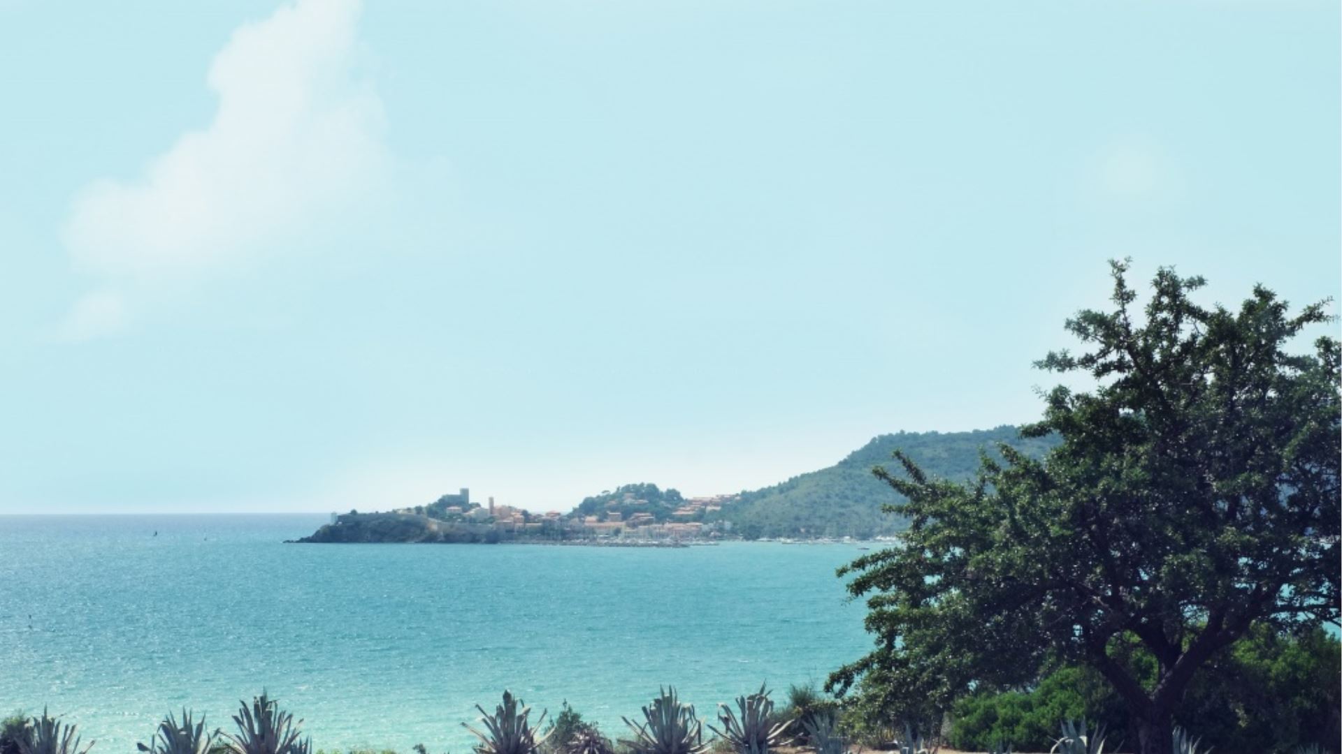 TORRE SPAGNOLA
