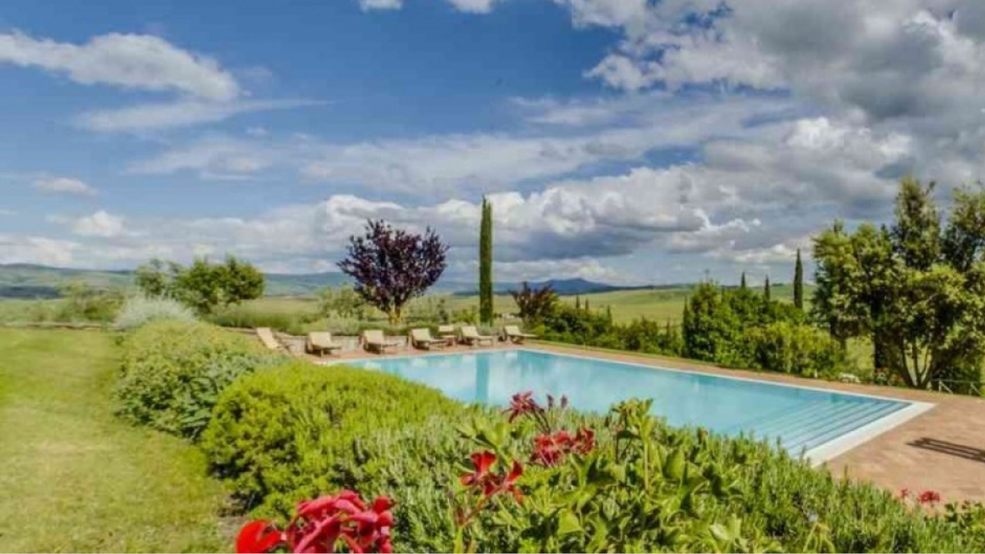 POGGIO ISTIANO - CIPRESSO