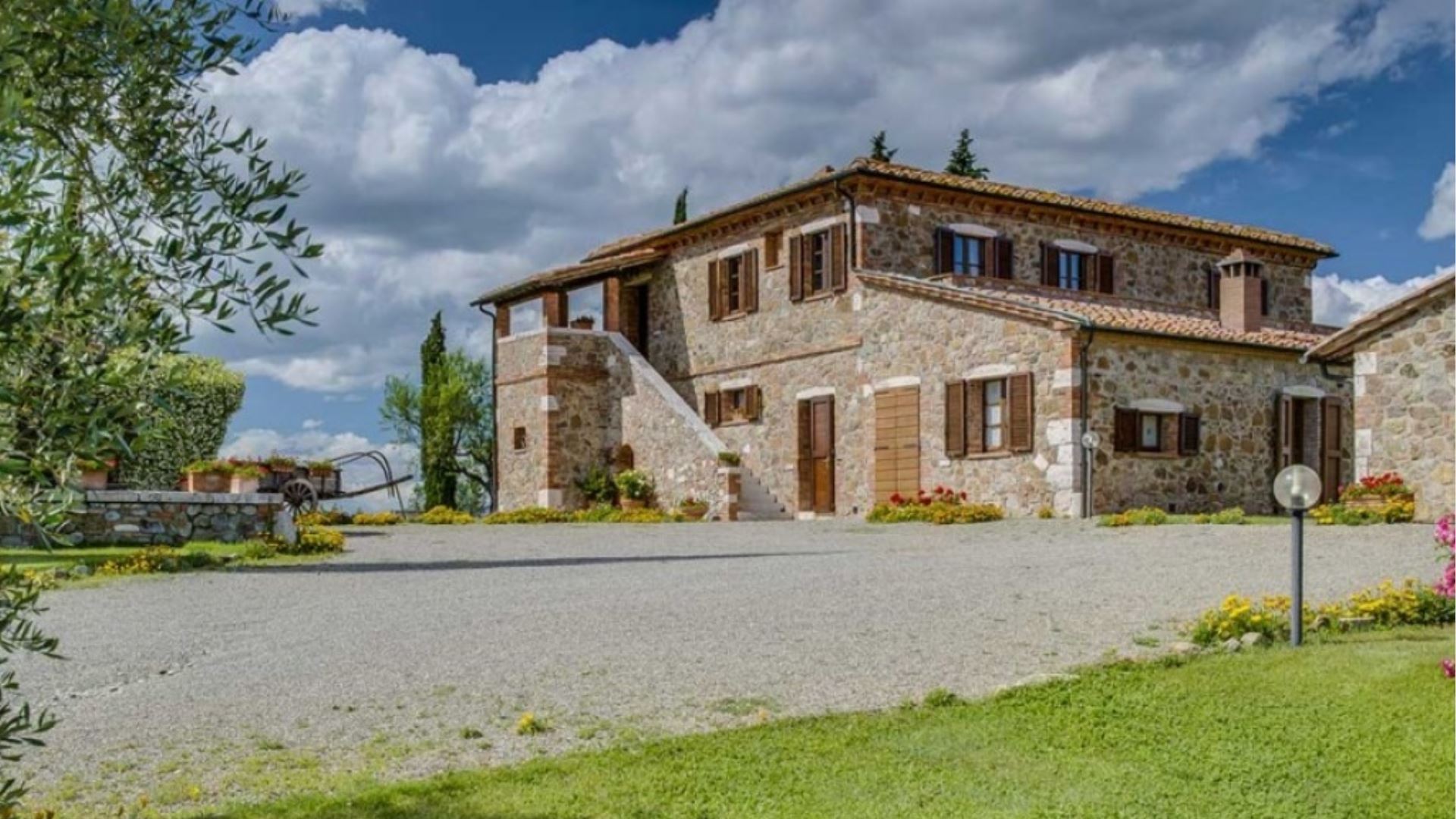 POGGIO ISTIANO - OLIVO