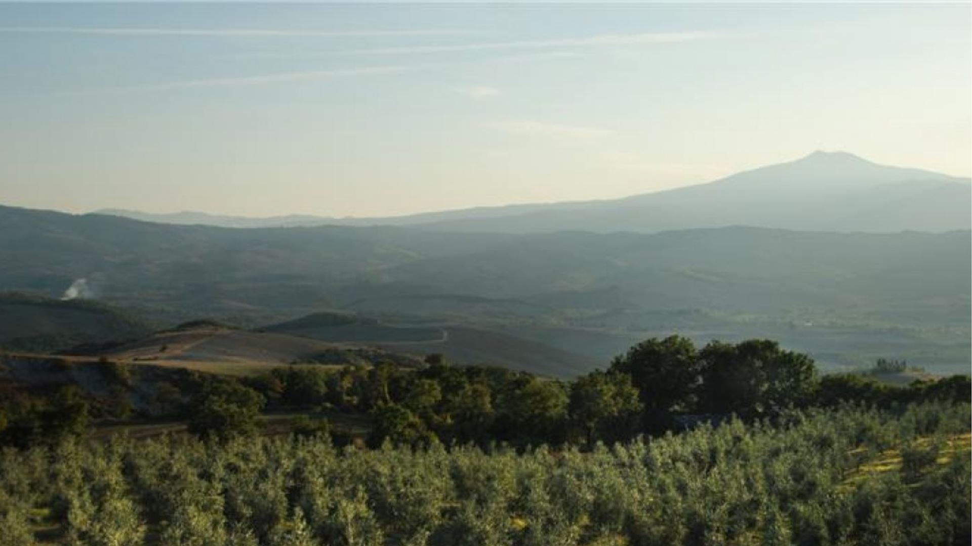 VALLOCCHIE