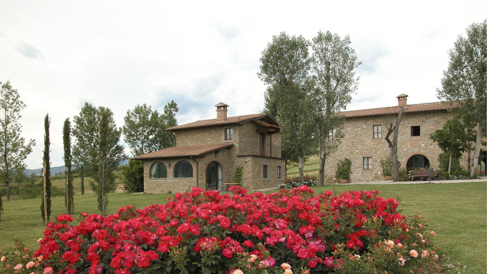 ANTICO FIO - ORCHIDEA