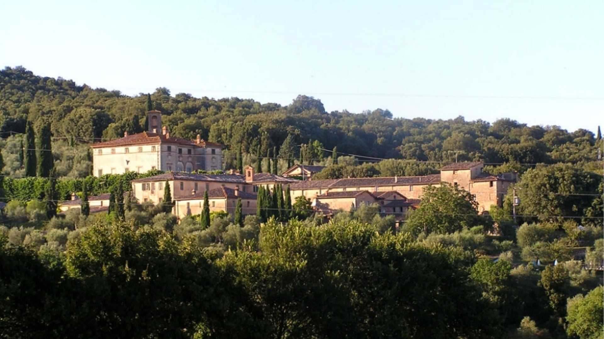 IL PERO DI CETINALE - GINESTRA