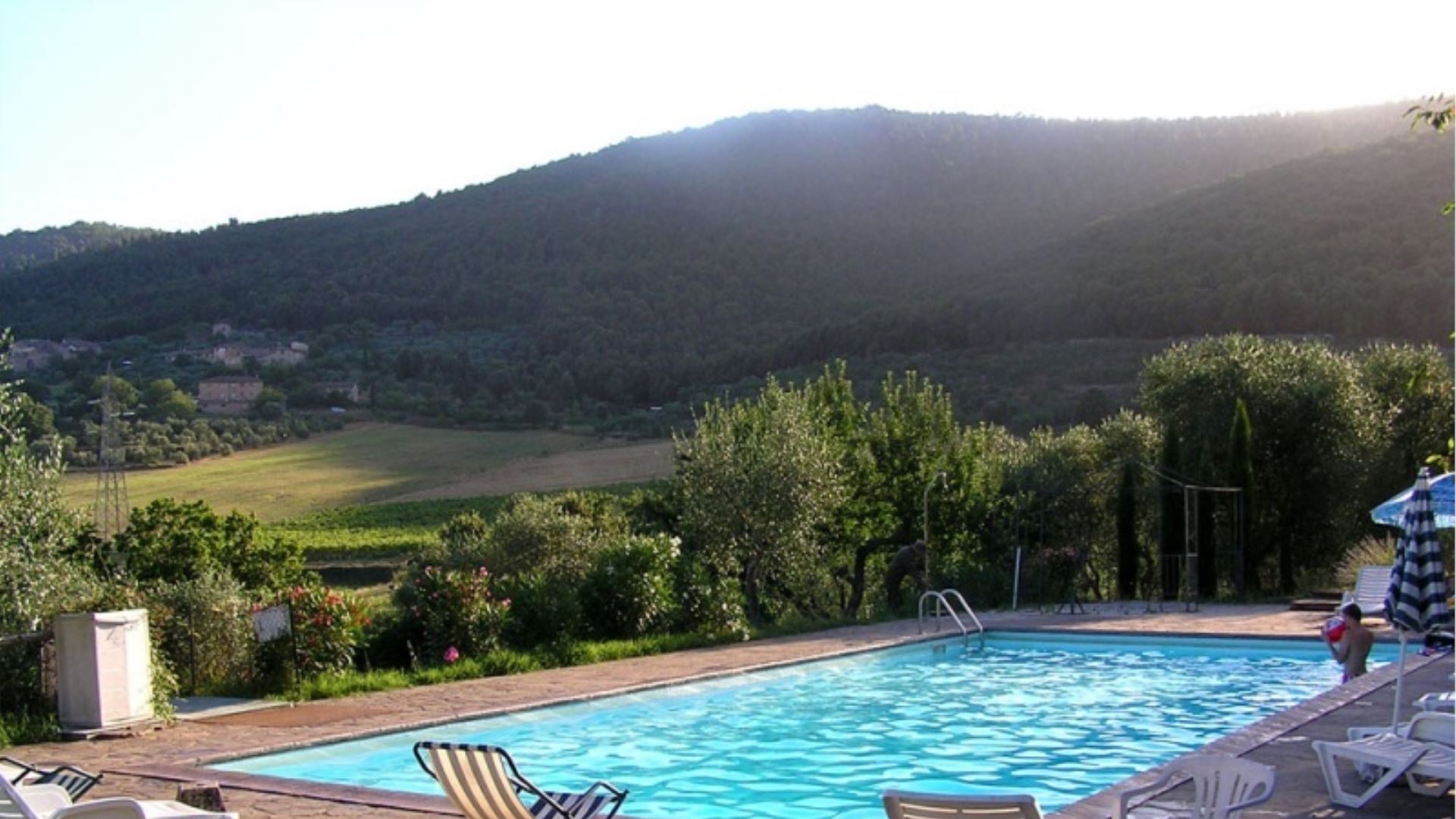 IL PERO DI CETINALE - CARDO