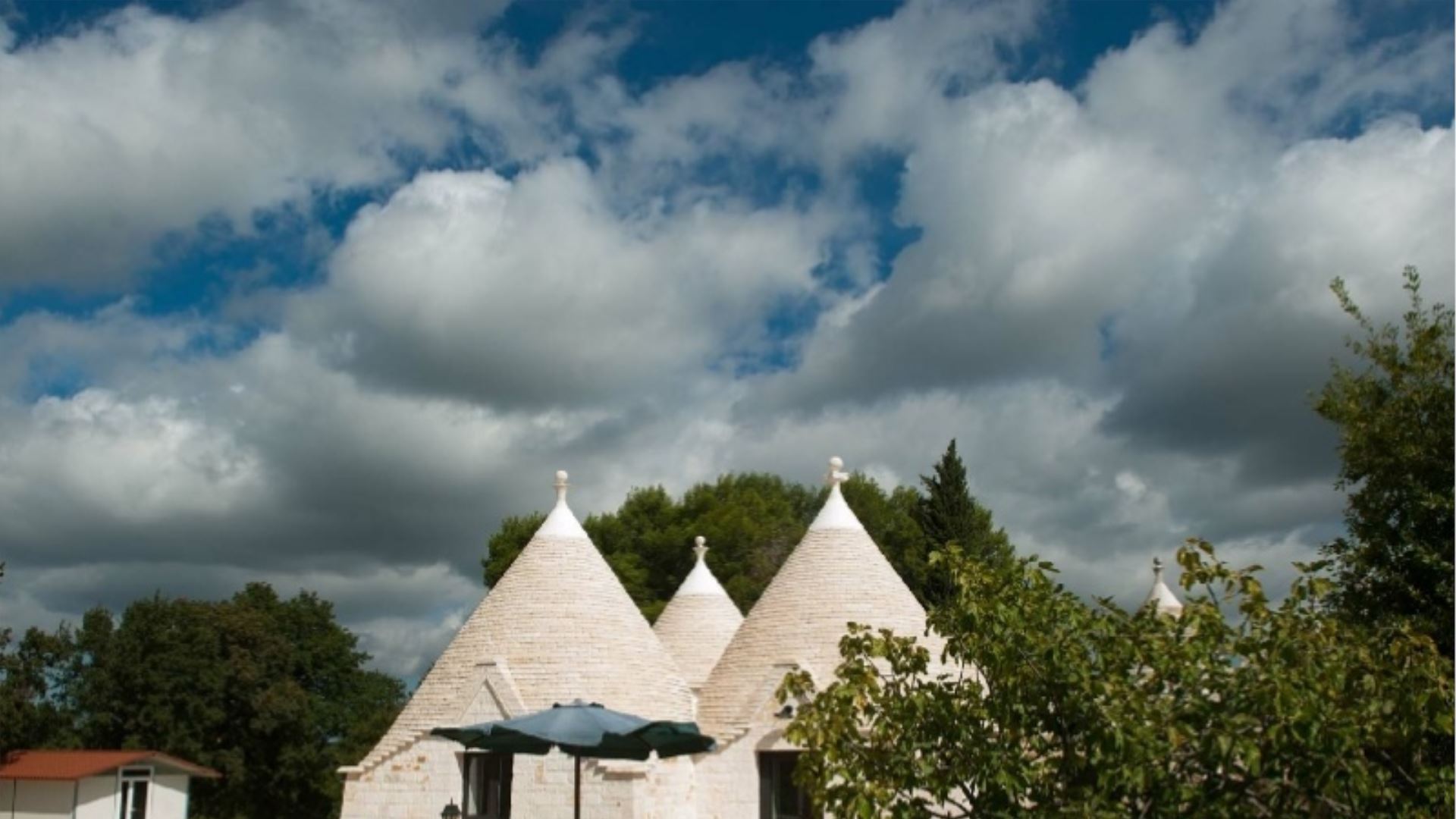 MASSERIA SELVAGGI - IL LECCIO