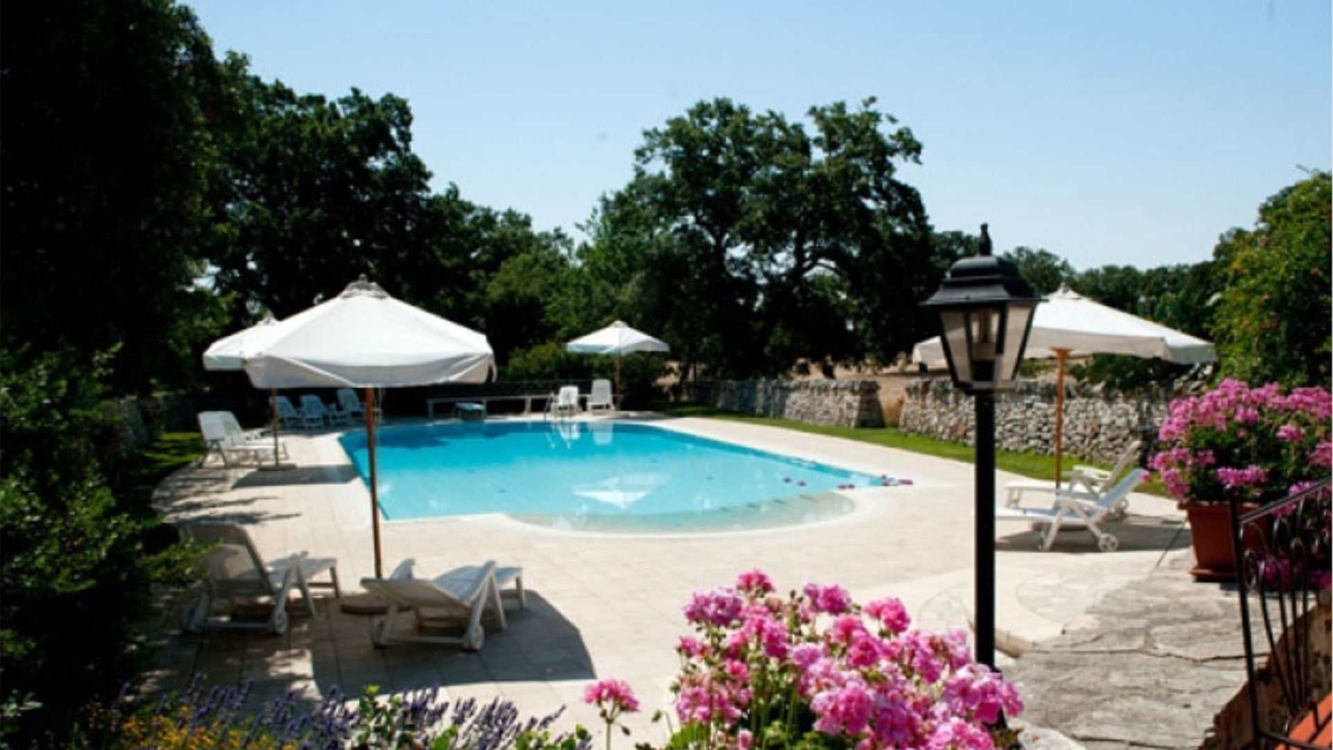 MASSERIA SELVAGGI - IL FICO D'INDIA